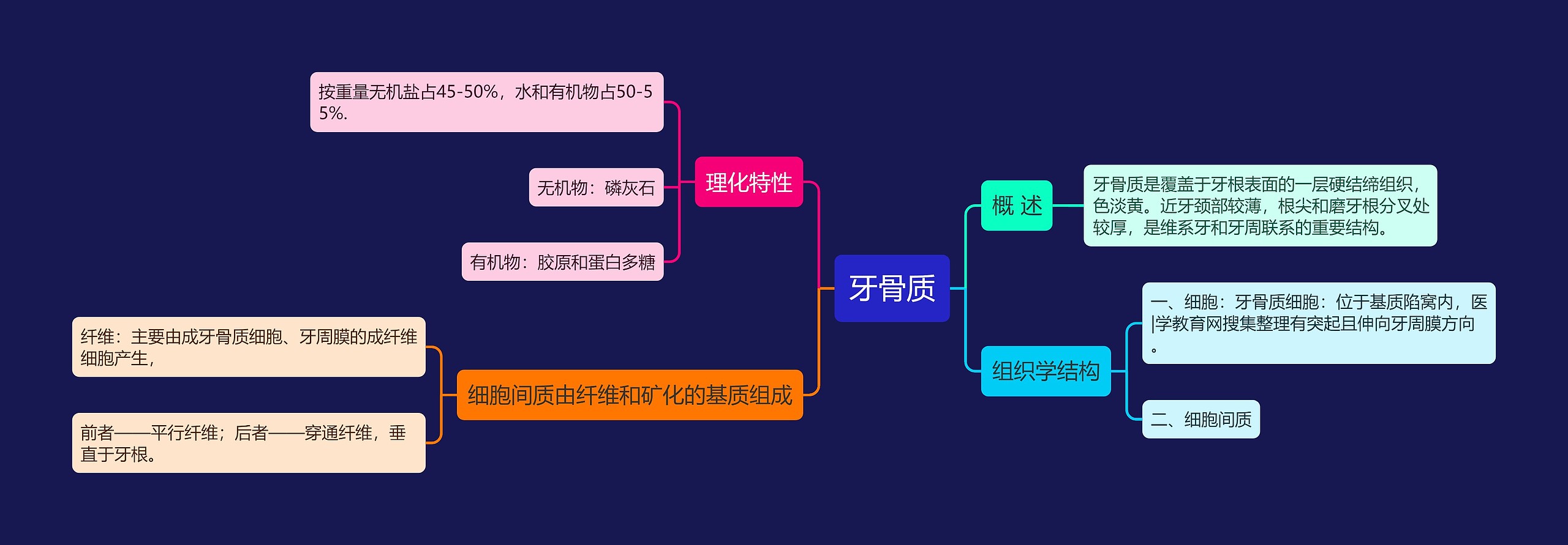 牙骨质思维导图