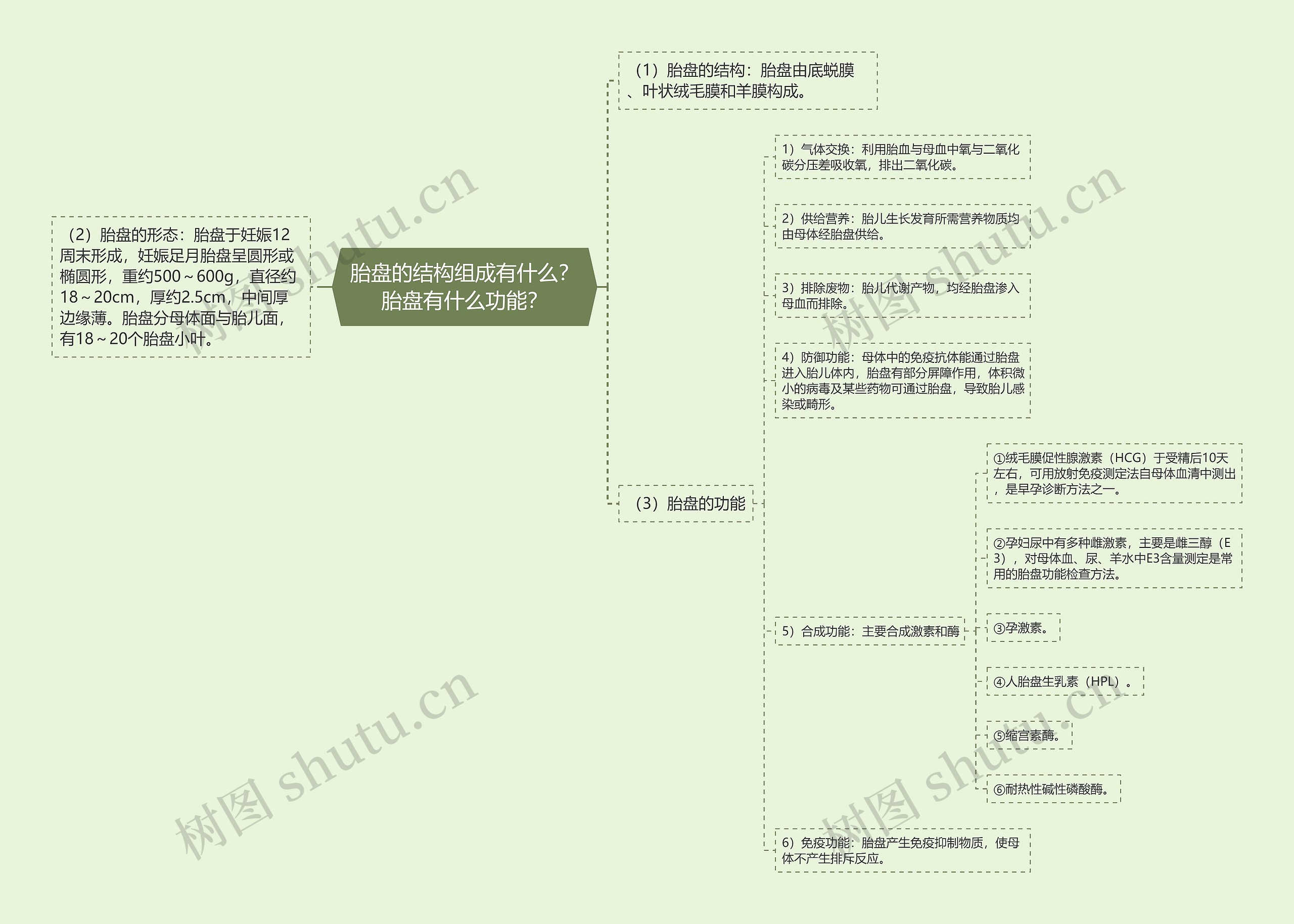 胎盘的结构组成有什么？胎盘有什么功能？