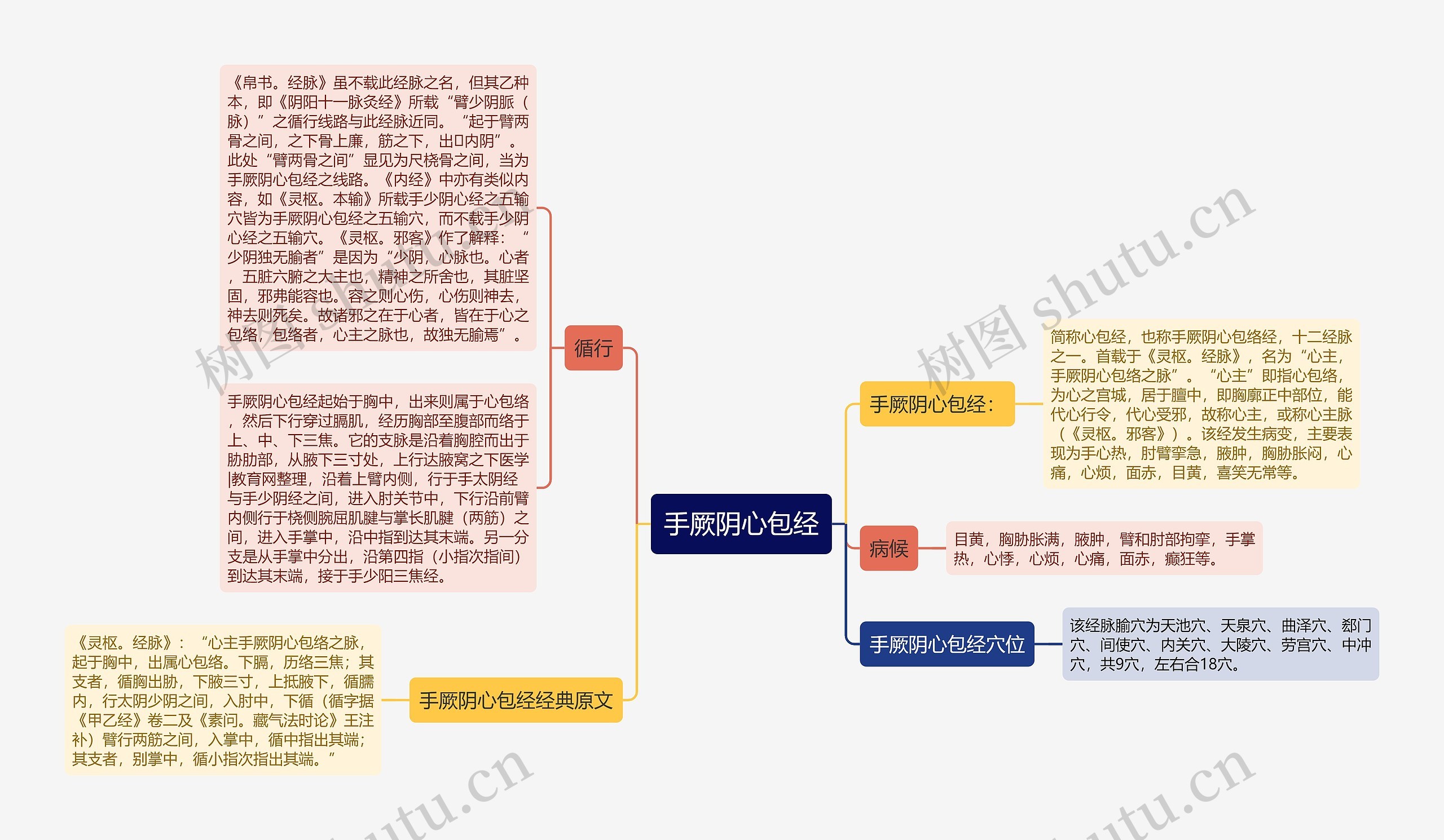 手厥阴心包经思维导图