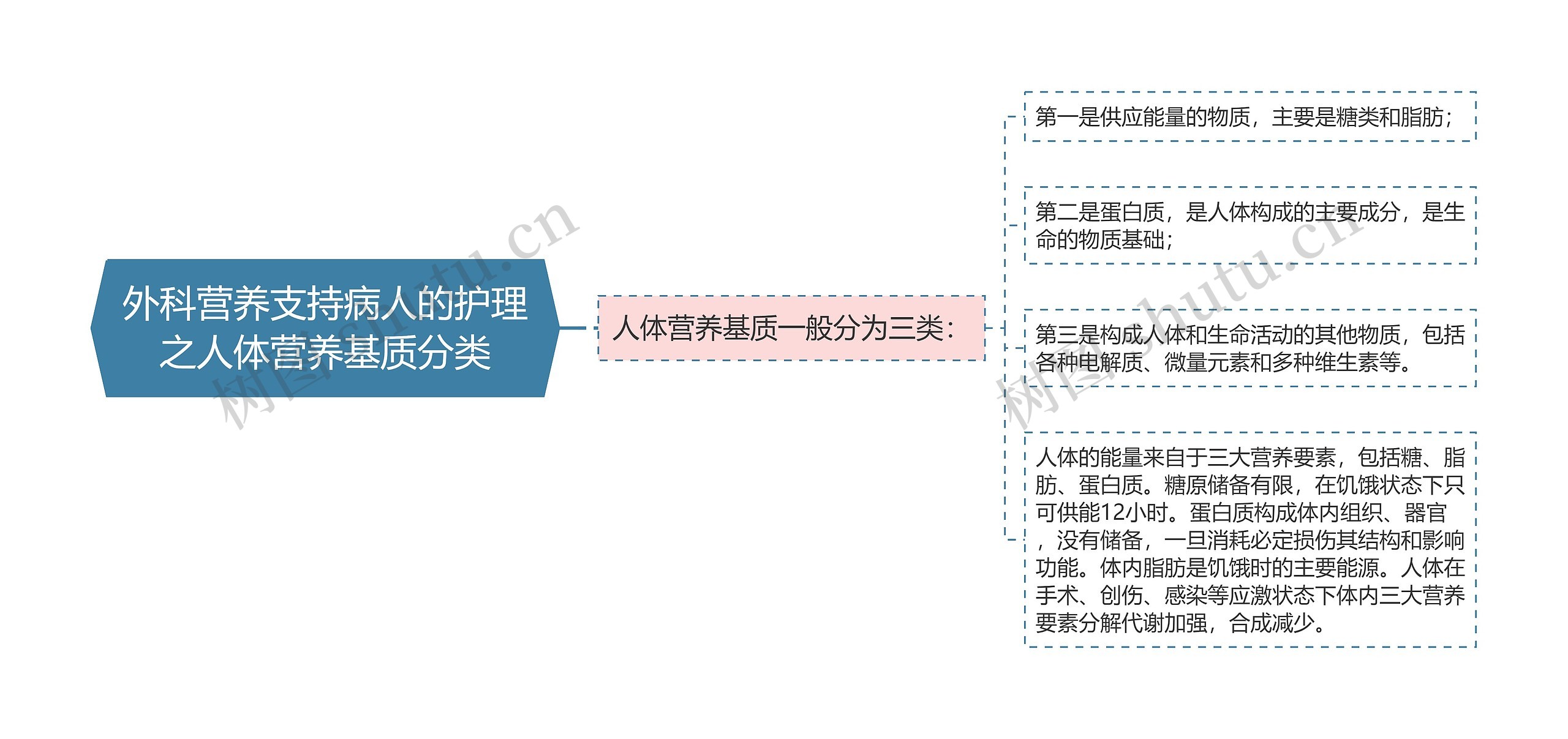 外科营养支持病人的护理之人体营养基质分类思维导图