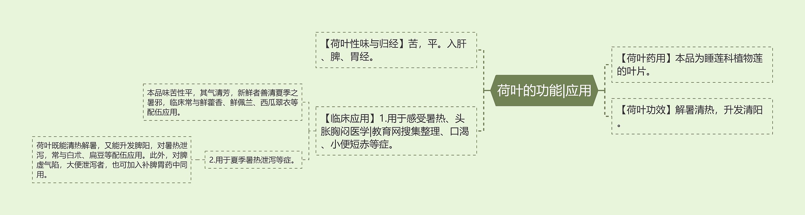 荷叶的功能|应用思维导图