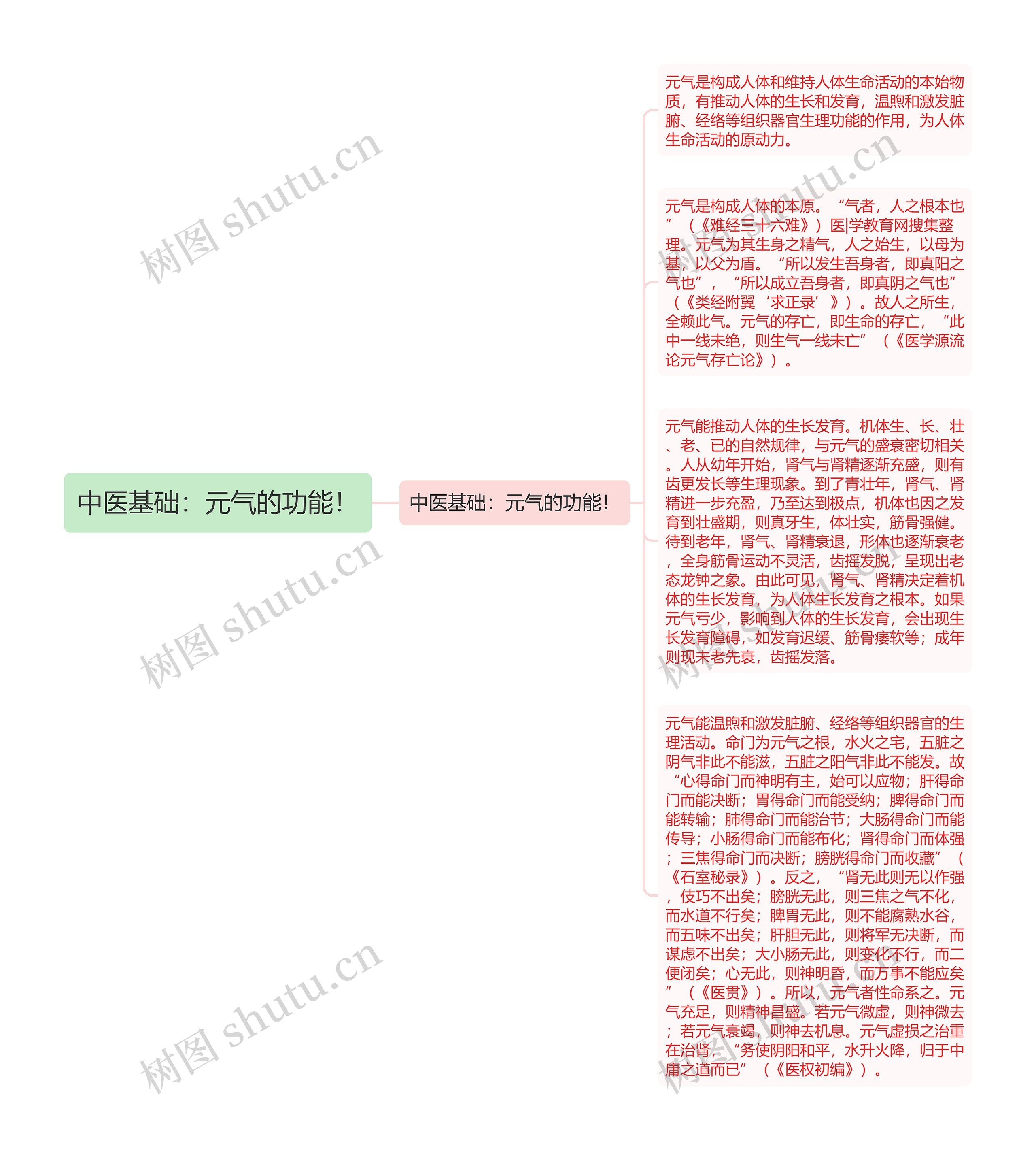 中医基础：元气的功能！