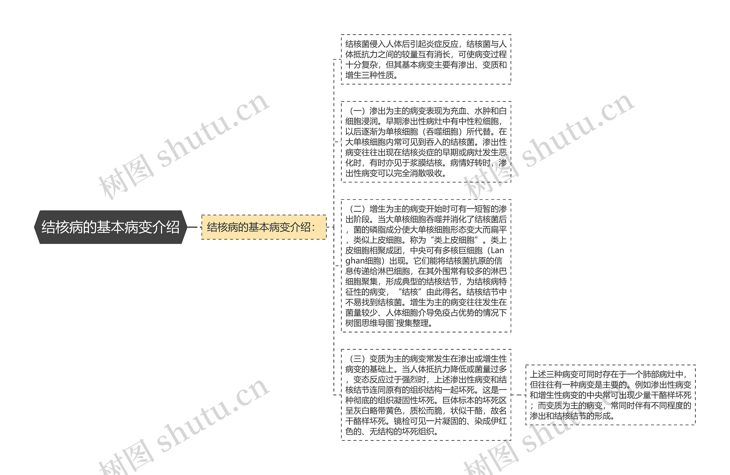 结核病的基本病变介绍