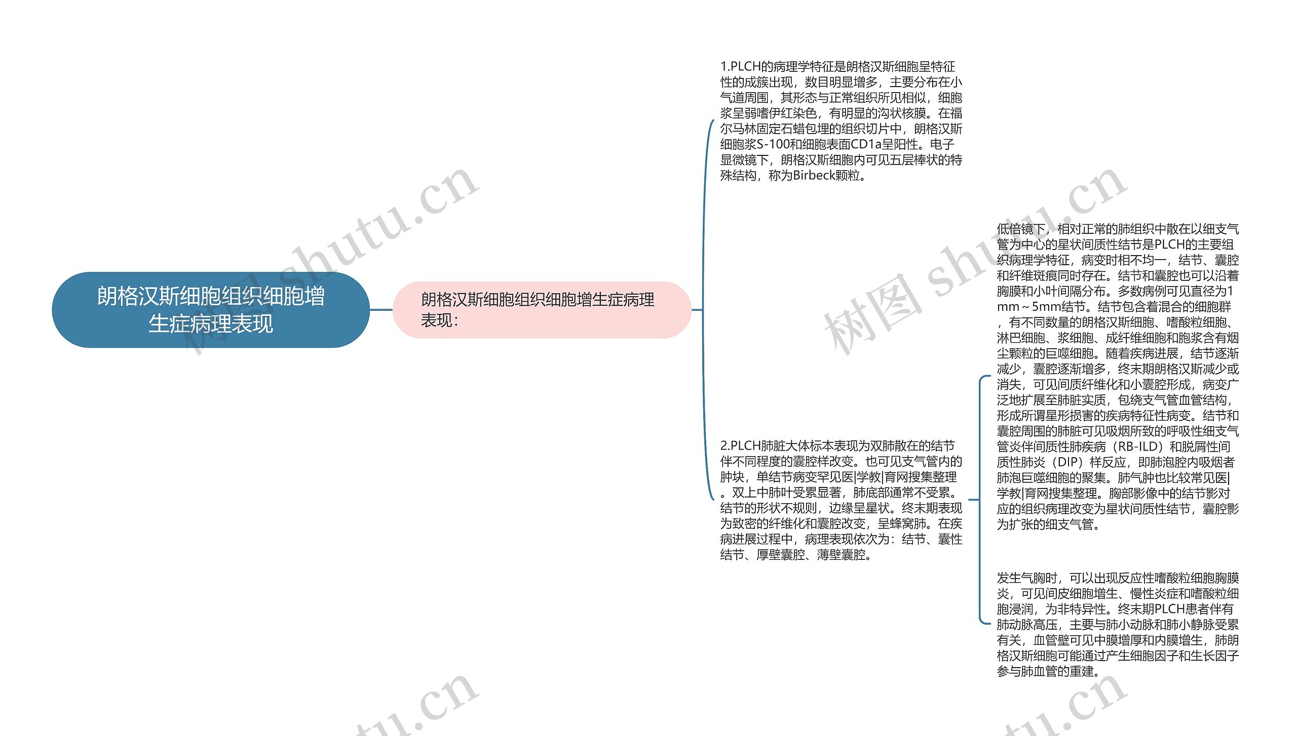 朗格汉斯细胞组织细胞增生症病理表现