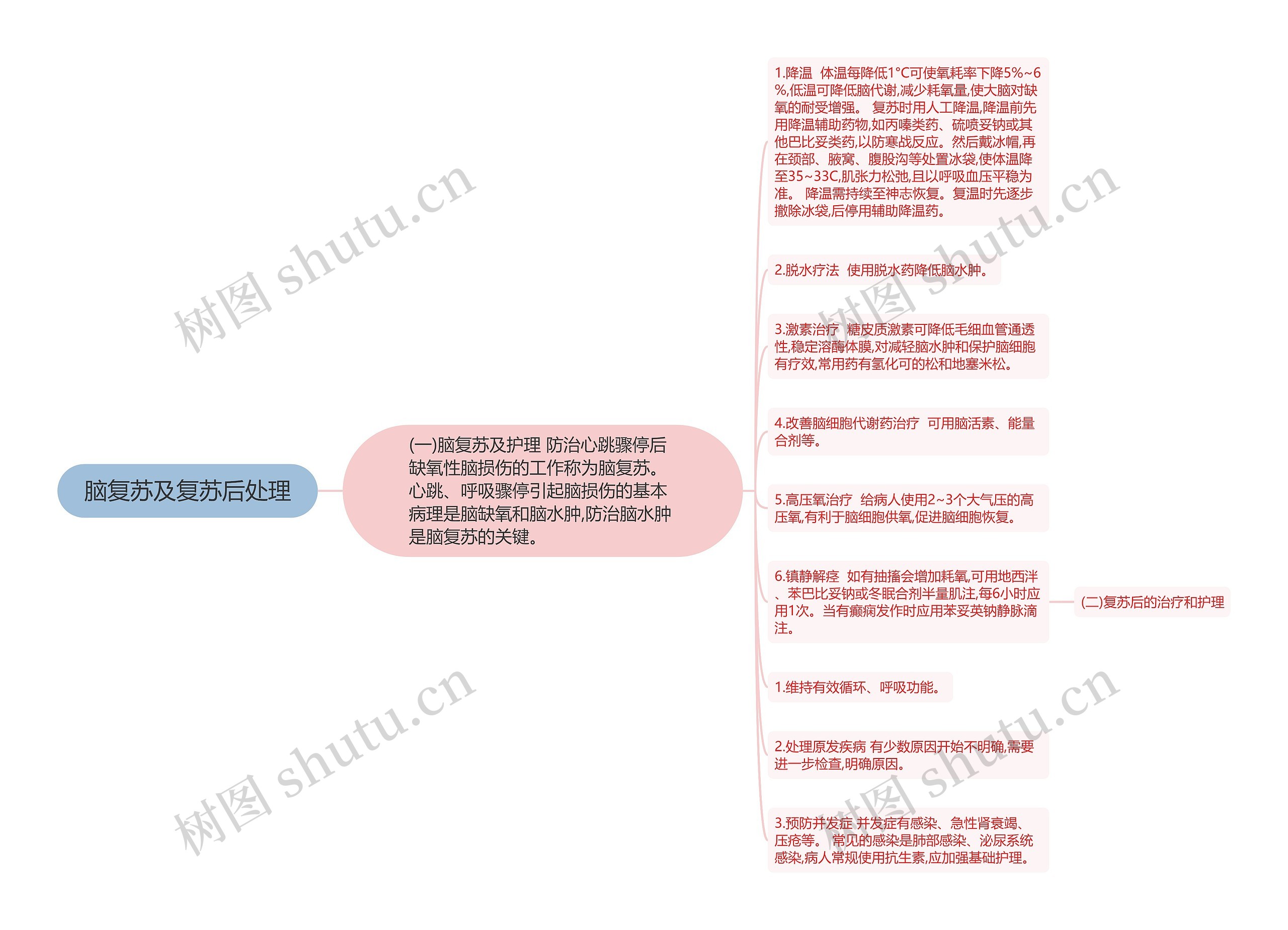 脑复苏及复苏后处理思维导图