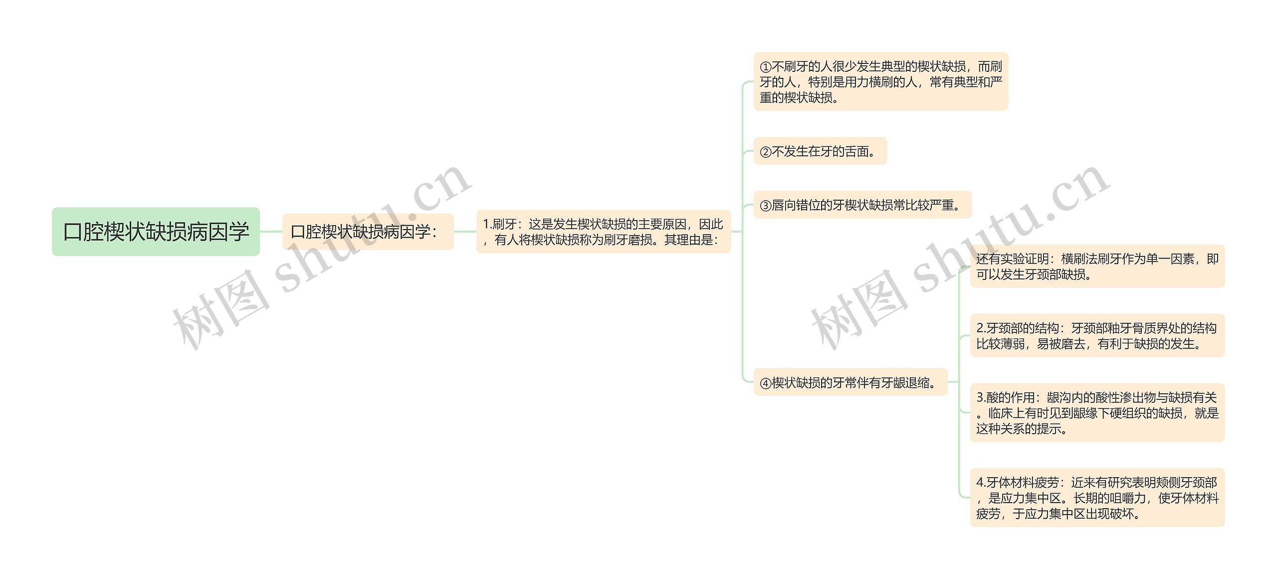 口腔楔状缺损病因学