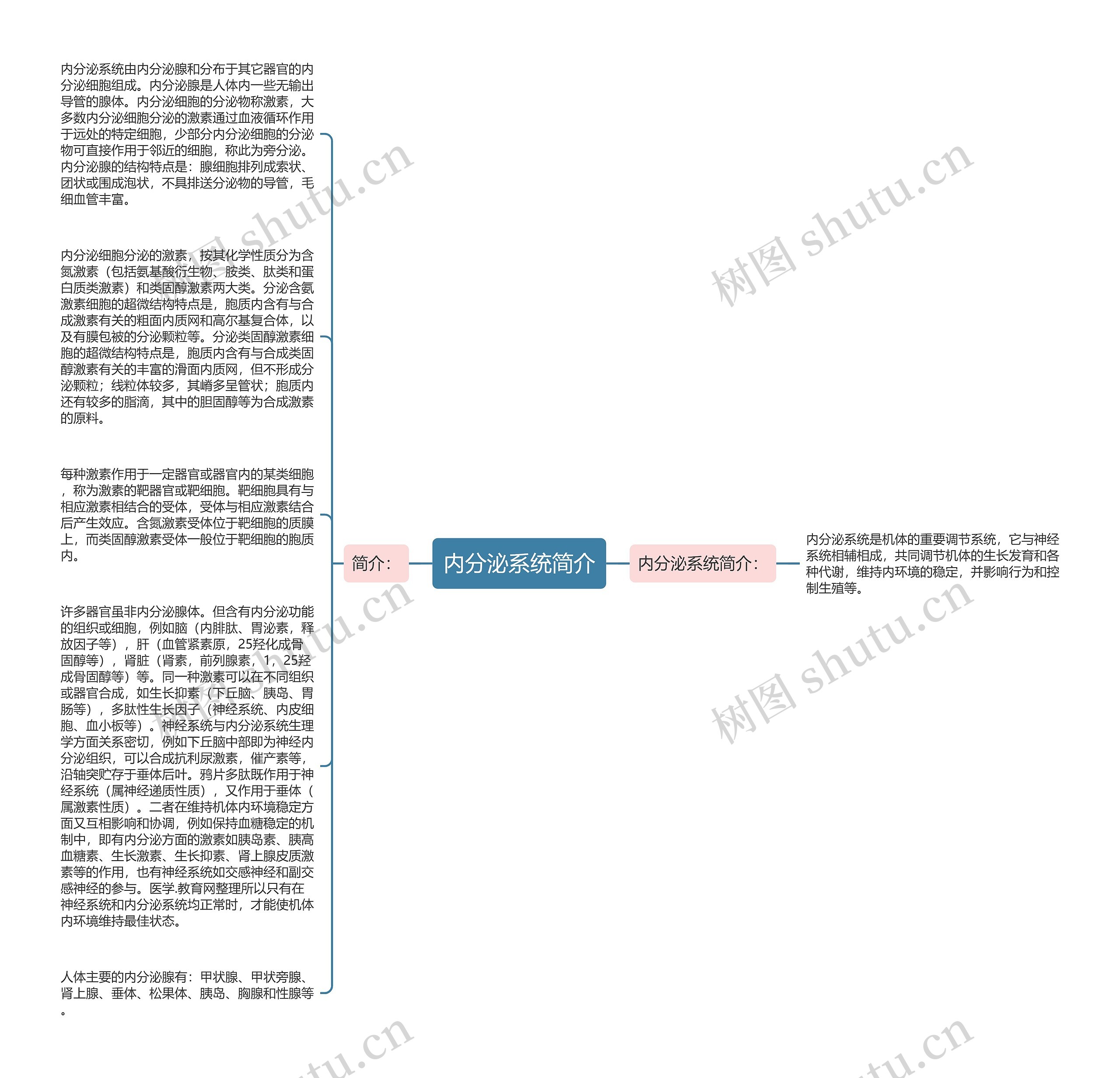 内分泌系统简介思维导图