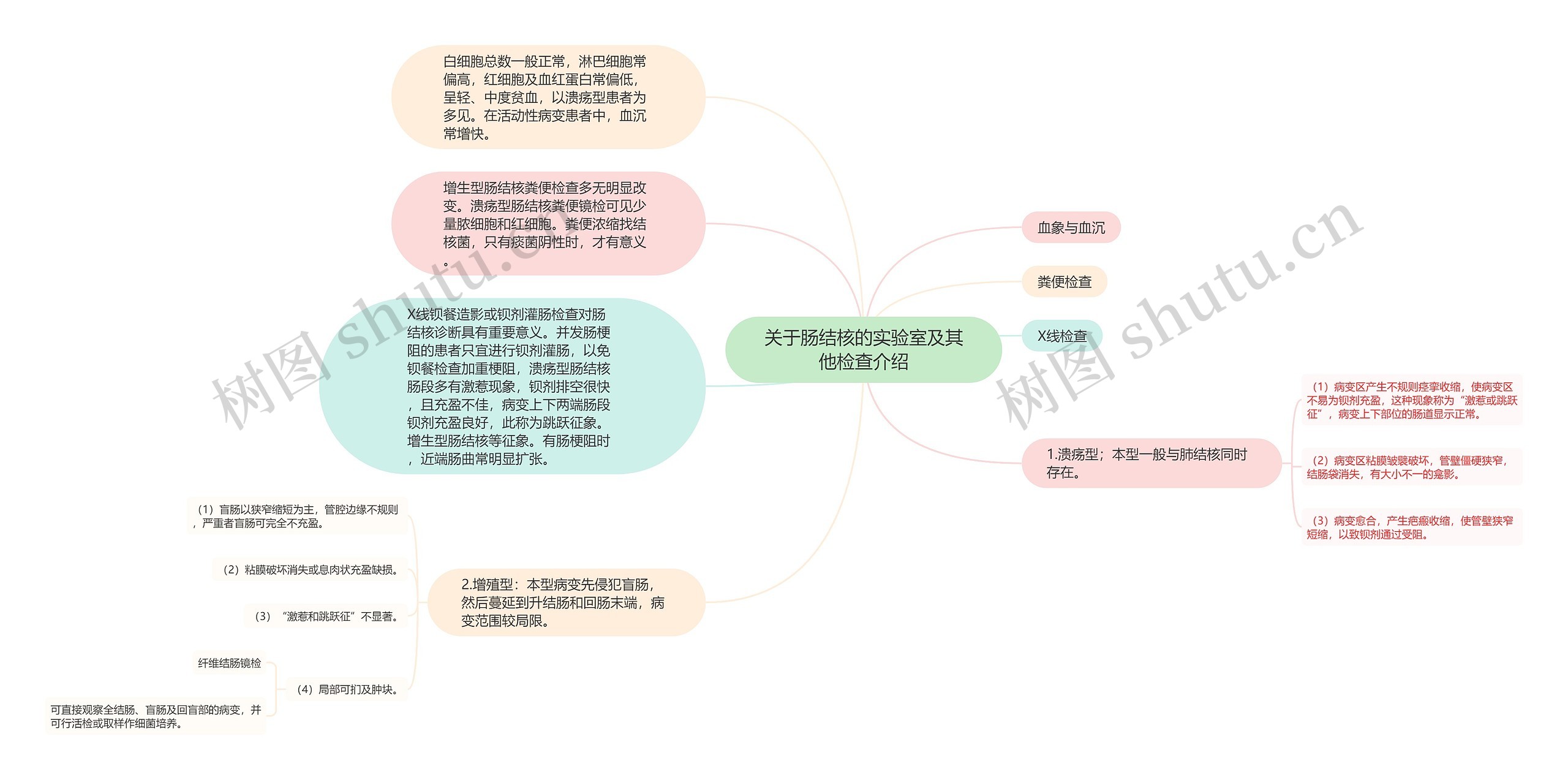 关于肠结核的实验室及其他检查介绍思维导图