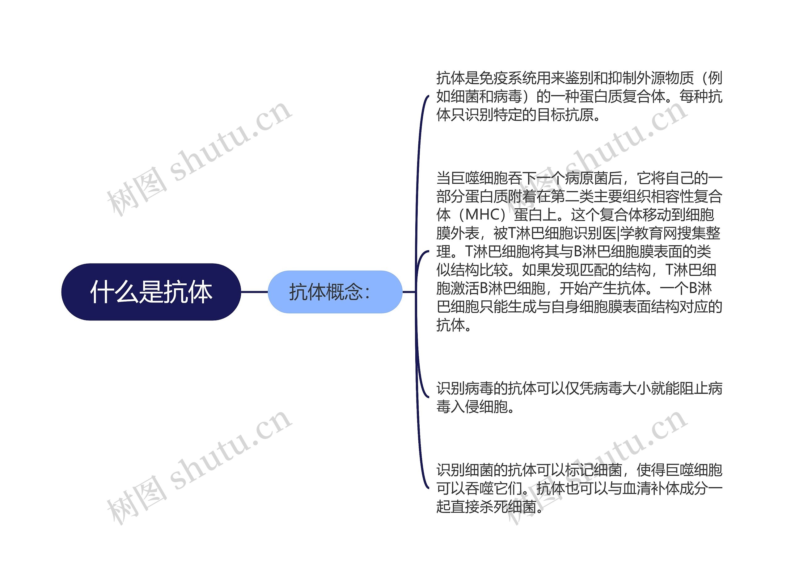 什么是抗体 什么是抗体