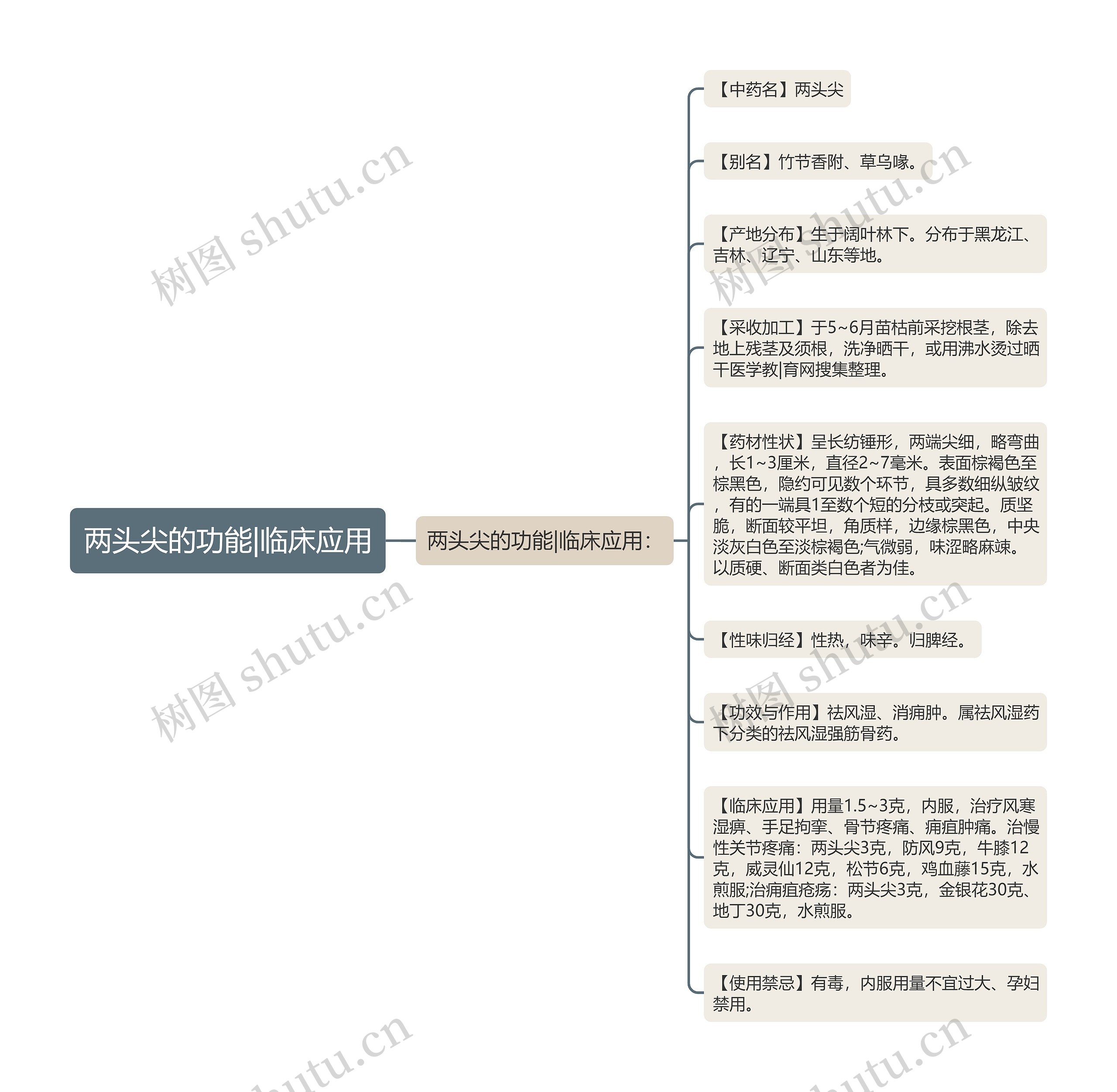 两头尖的功能|临床应用思维导图