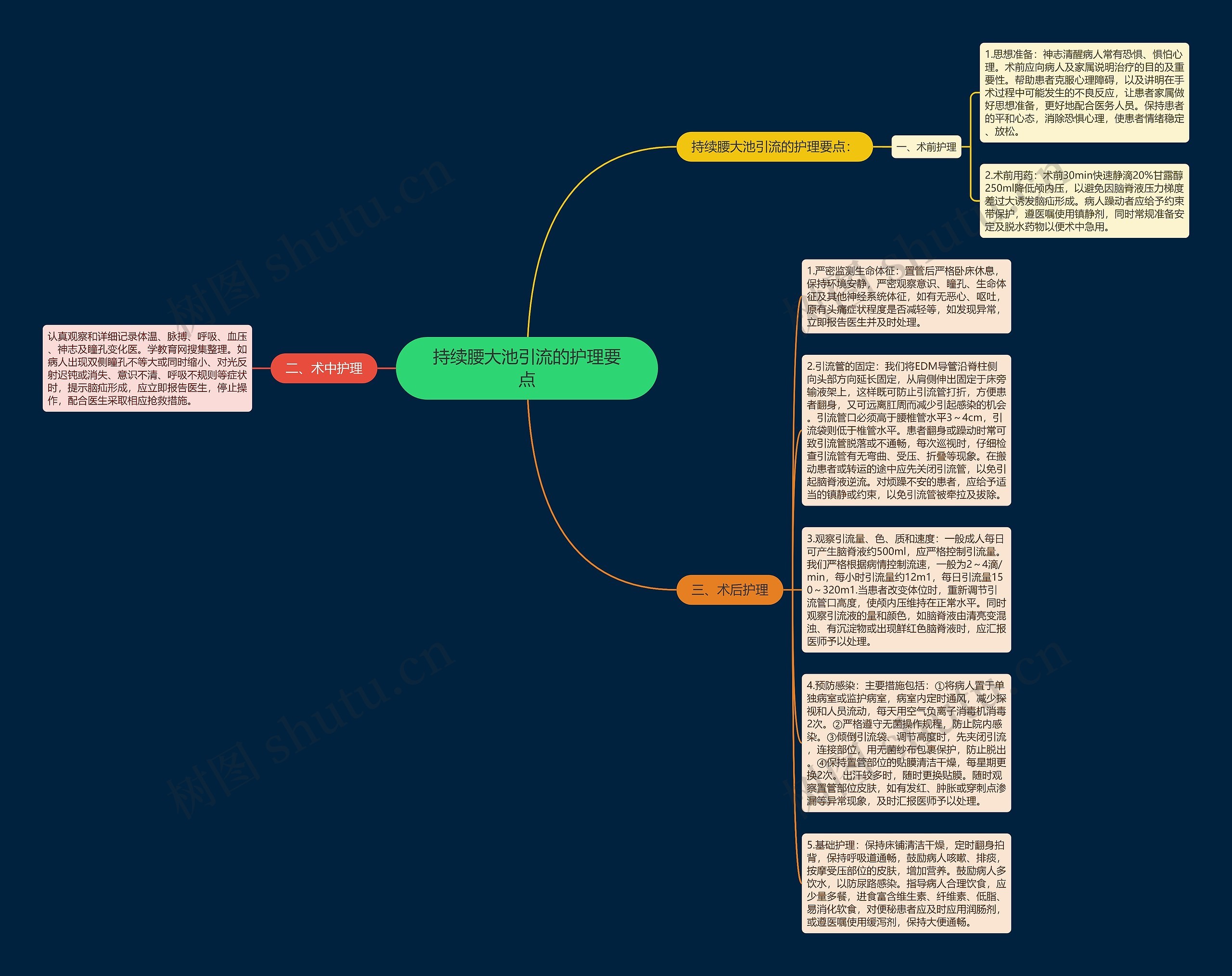 持续腰大池引流的护理要点思维导图