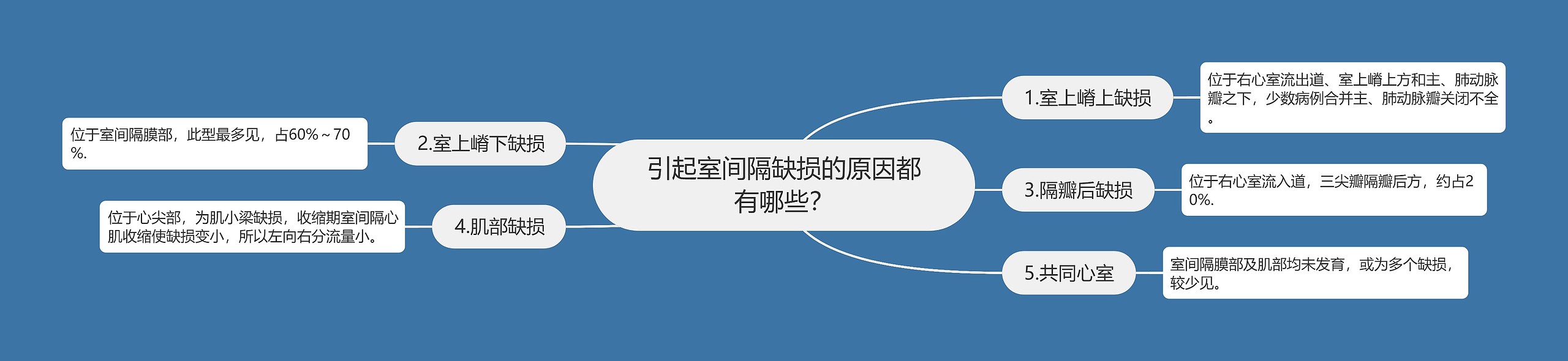 引起室间隔缺损的原因都有哪些？思维导图