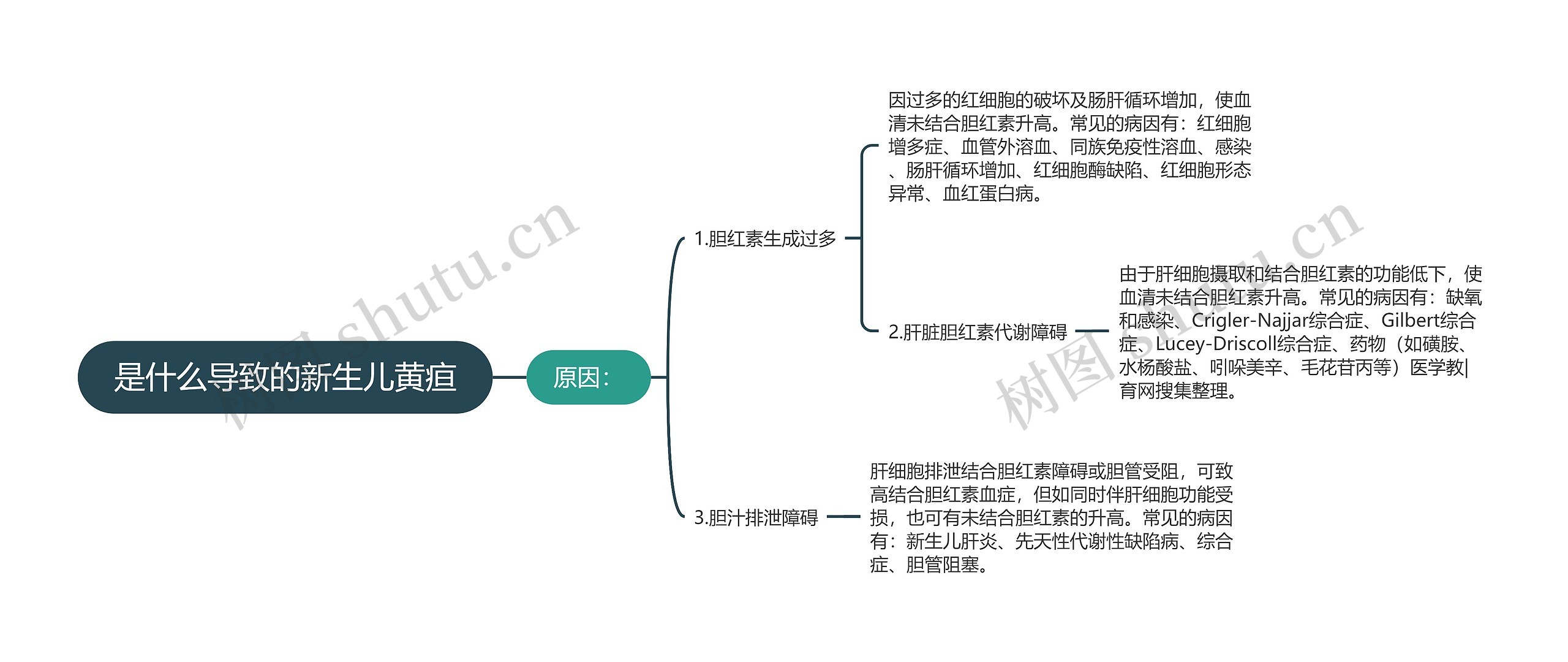 是什么导致的新生儿黄疸