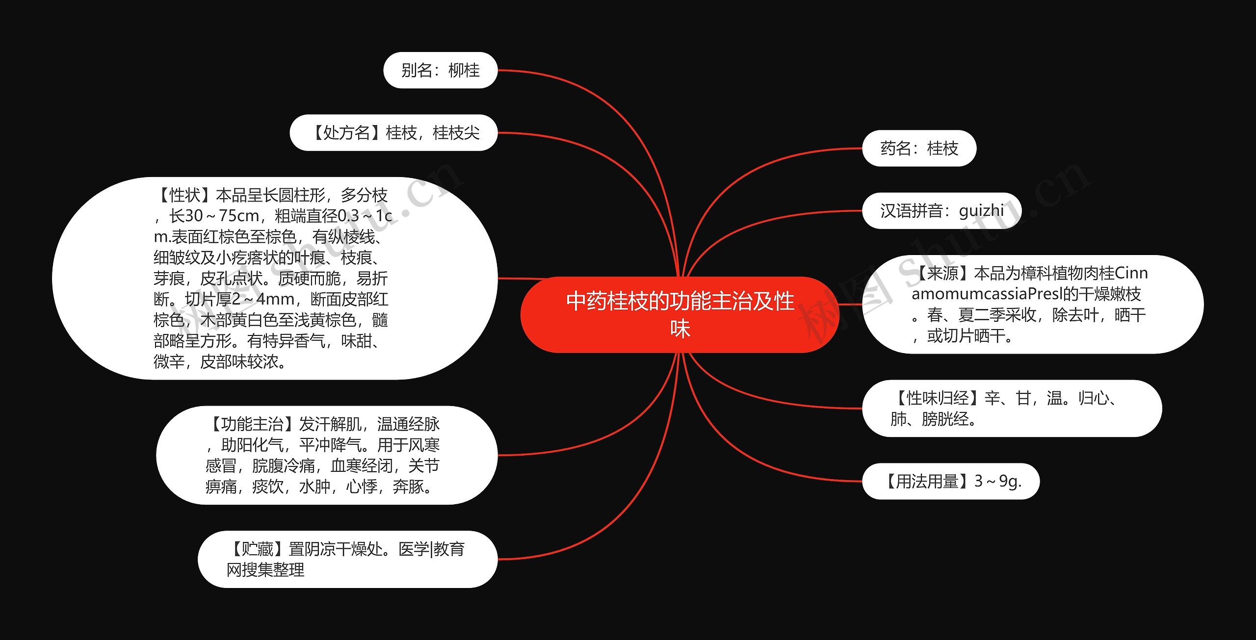 中药桂枝的功能主治及性味