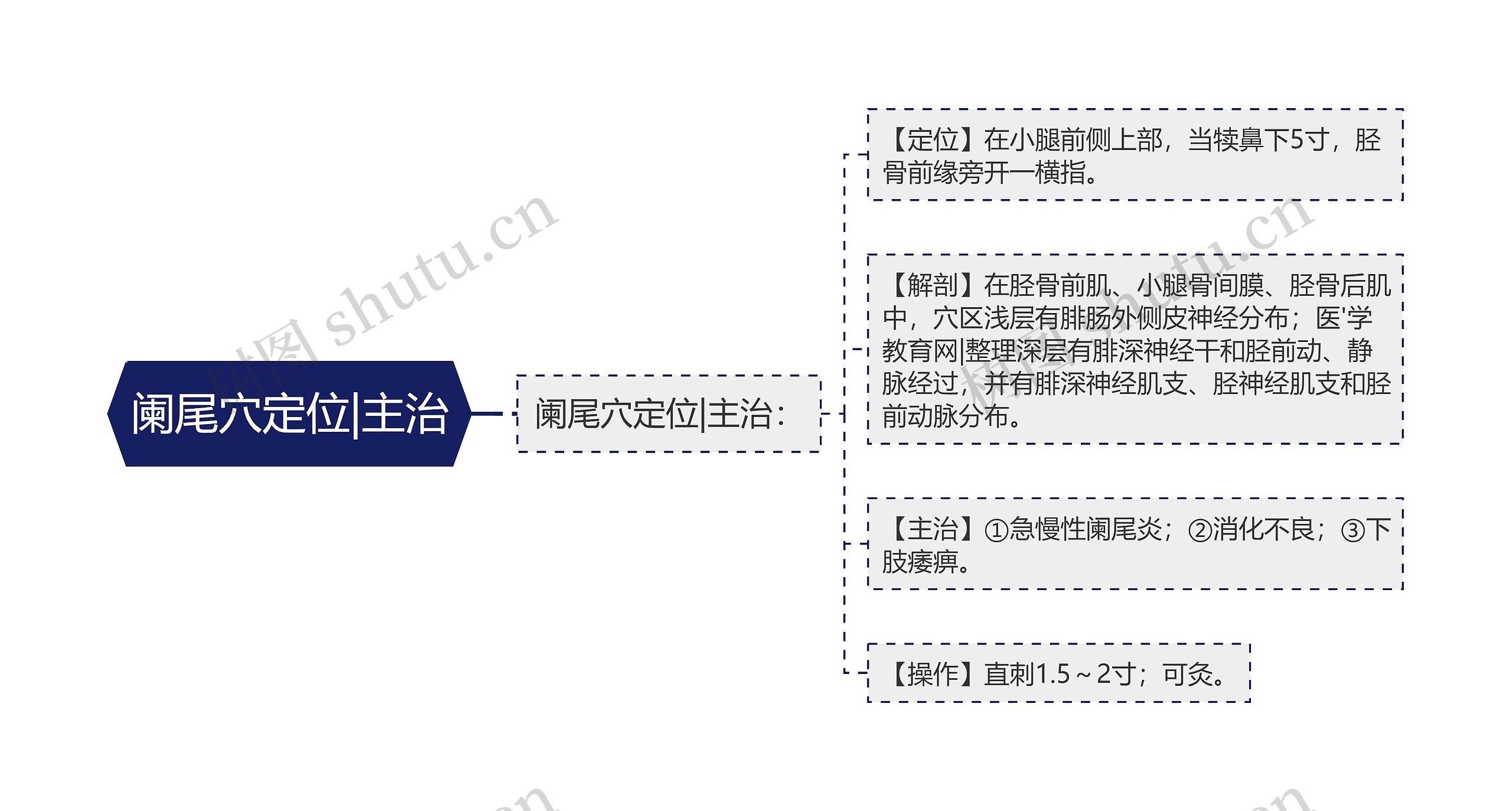 阑尾穴定位|主治