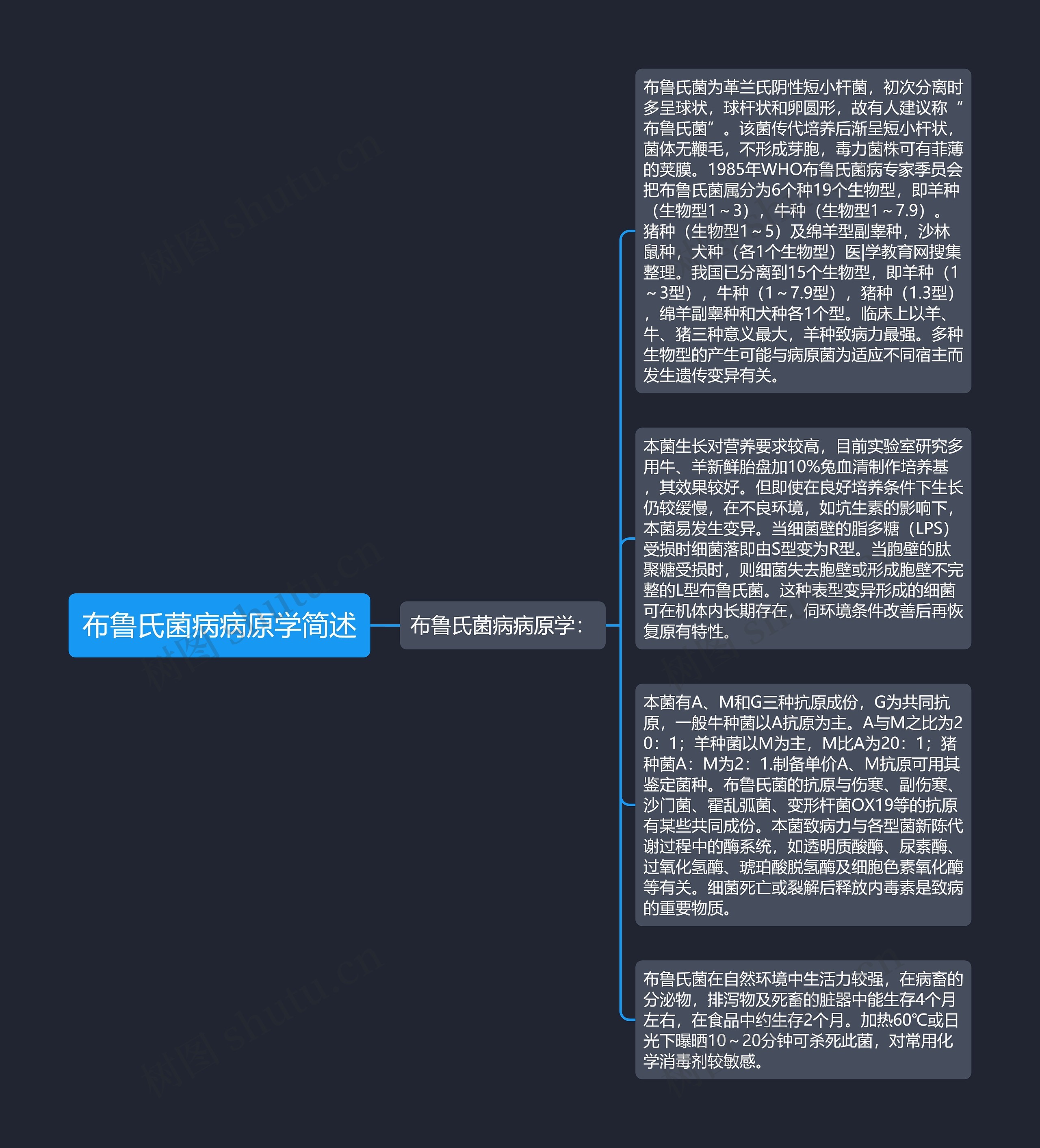 布鲁氏菌病病原学简述思维导图高清图 布鲁氏菌病病原学简述思维导图