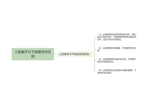 上颌磨牙与下颌磨牙的区别