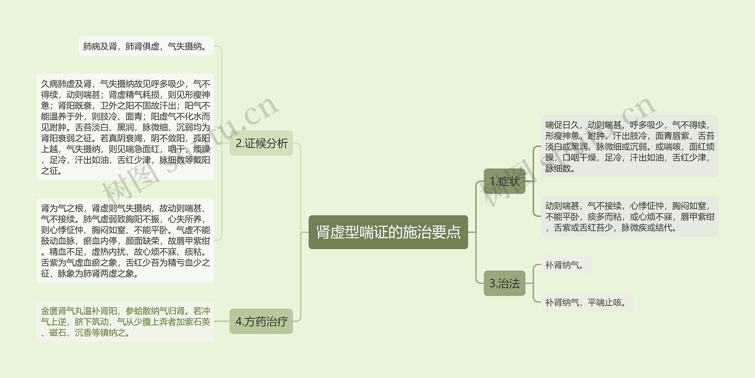 肾虚型喘证的施治要点思维导图