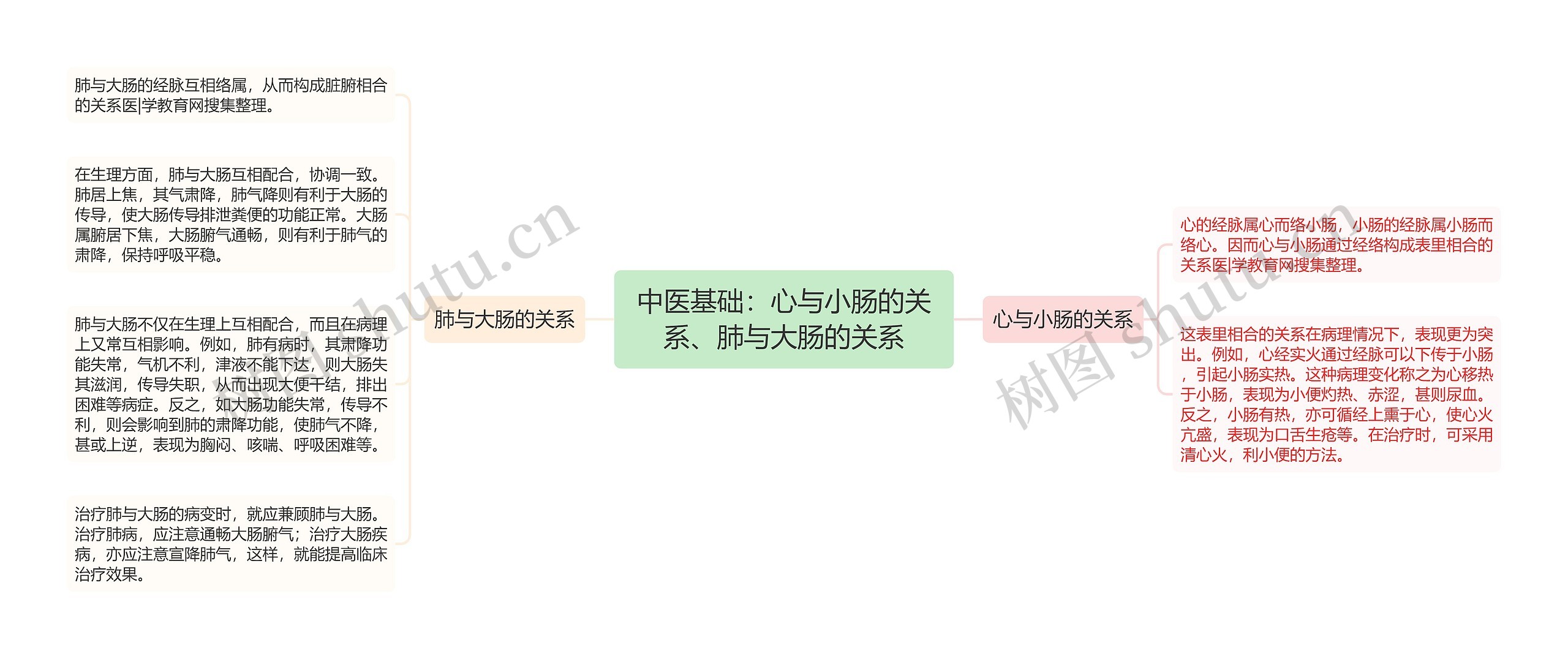 中医基础：心与小肠的关系、肺与大肠的关系