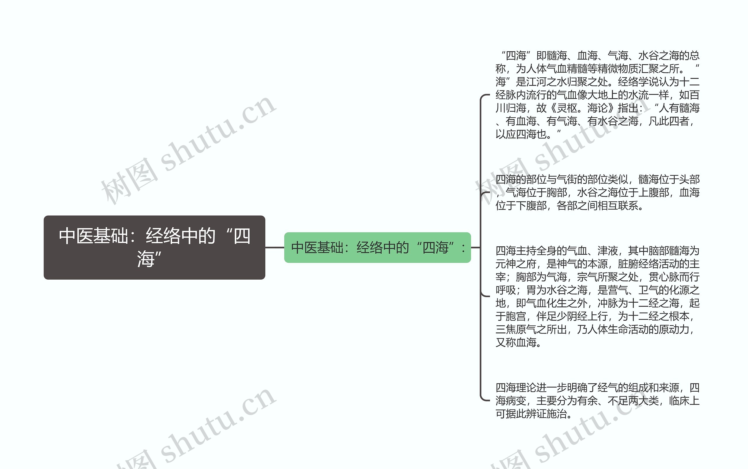 中医基础：经络中的“四海”思维导图