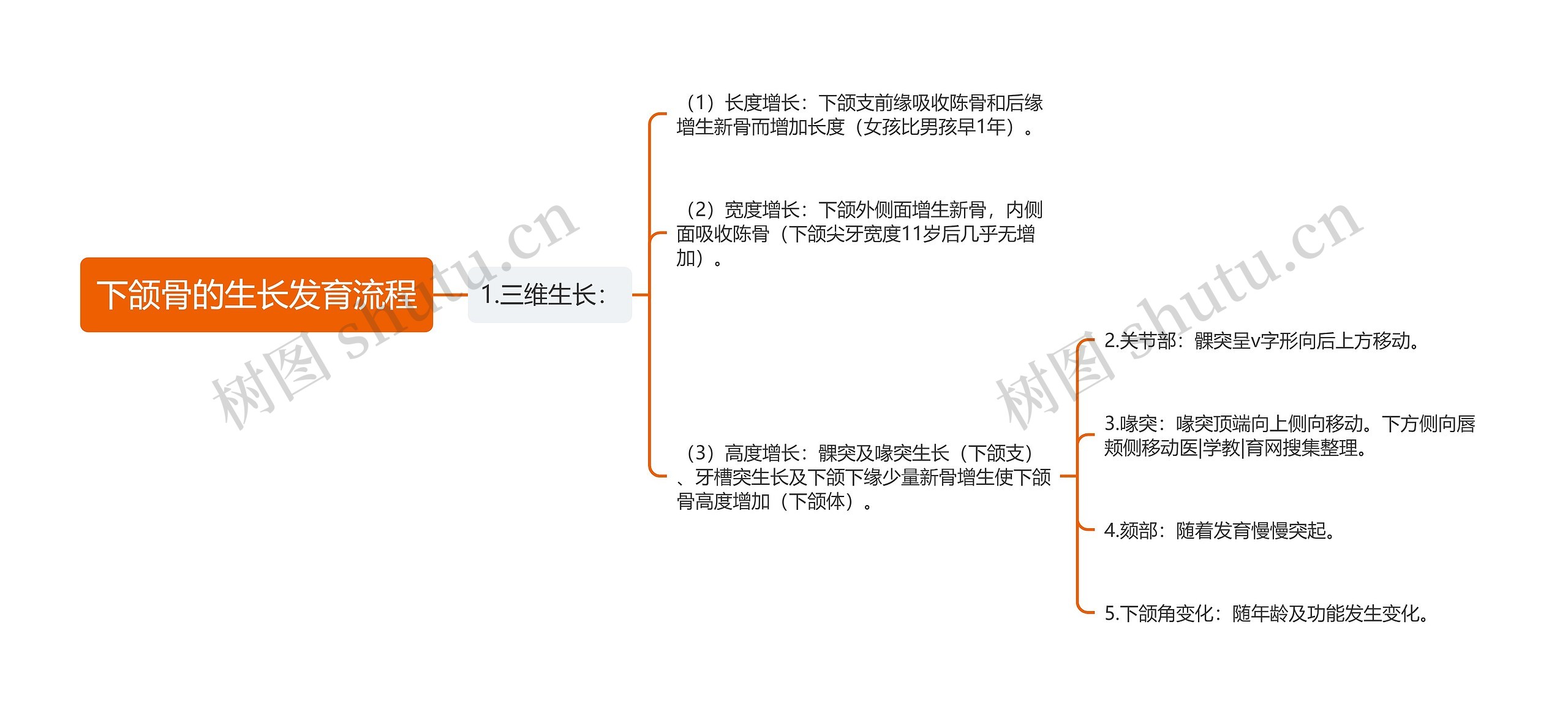 下颌骨的生长发育流程思维导图