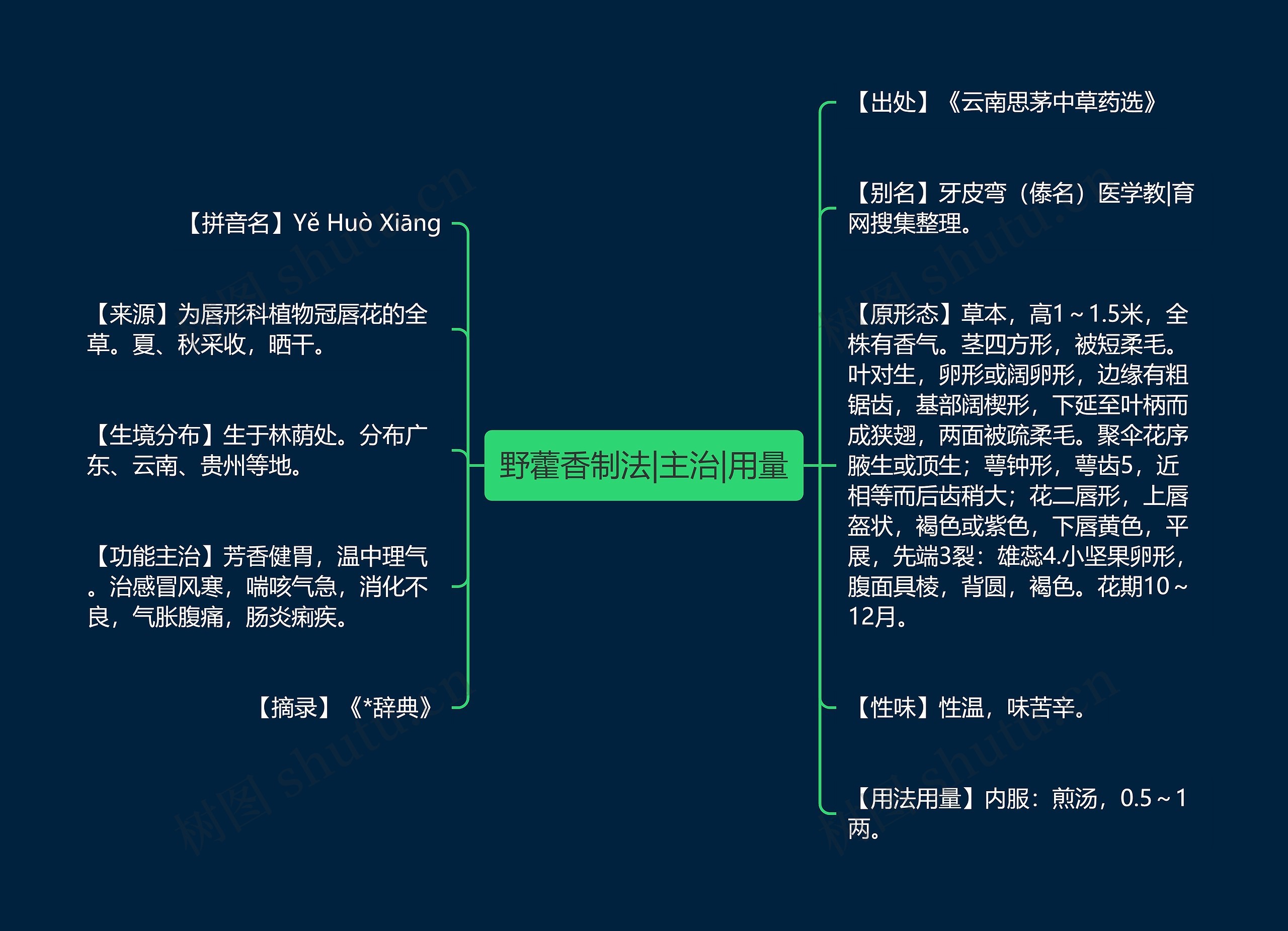 野藿香制法|主治|用量