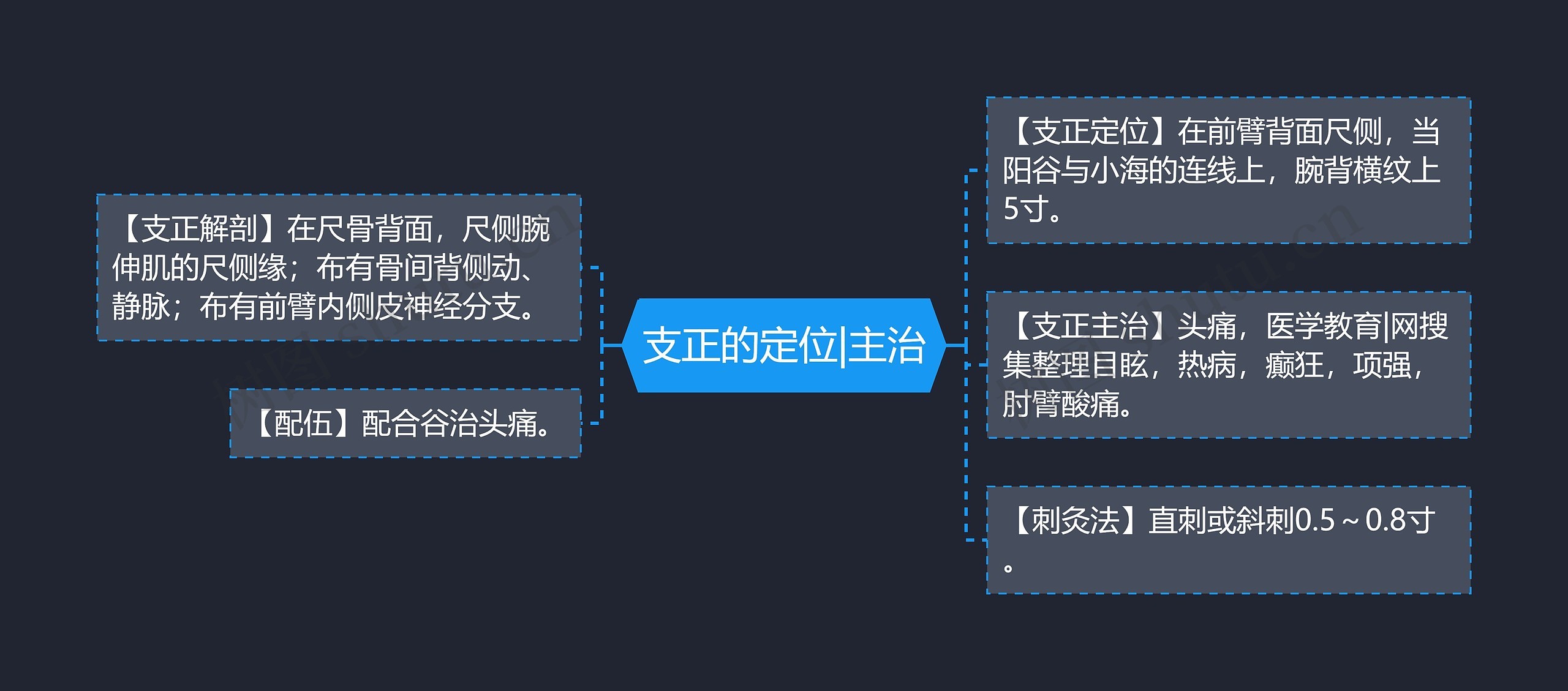 支正的定位|主治思维导图