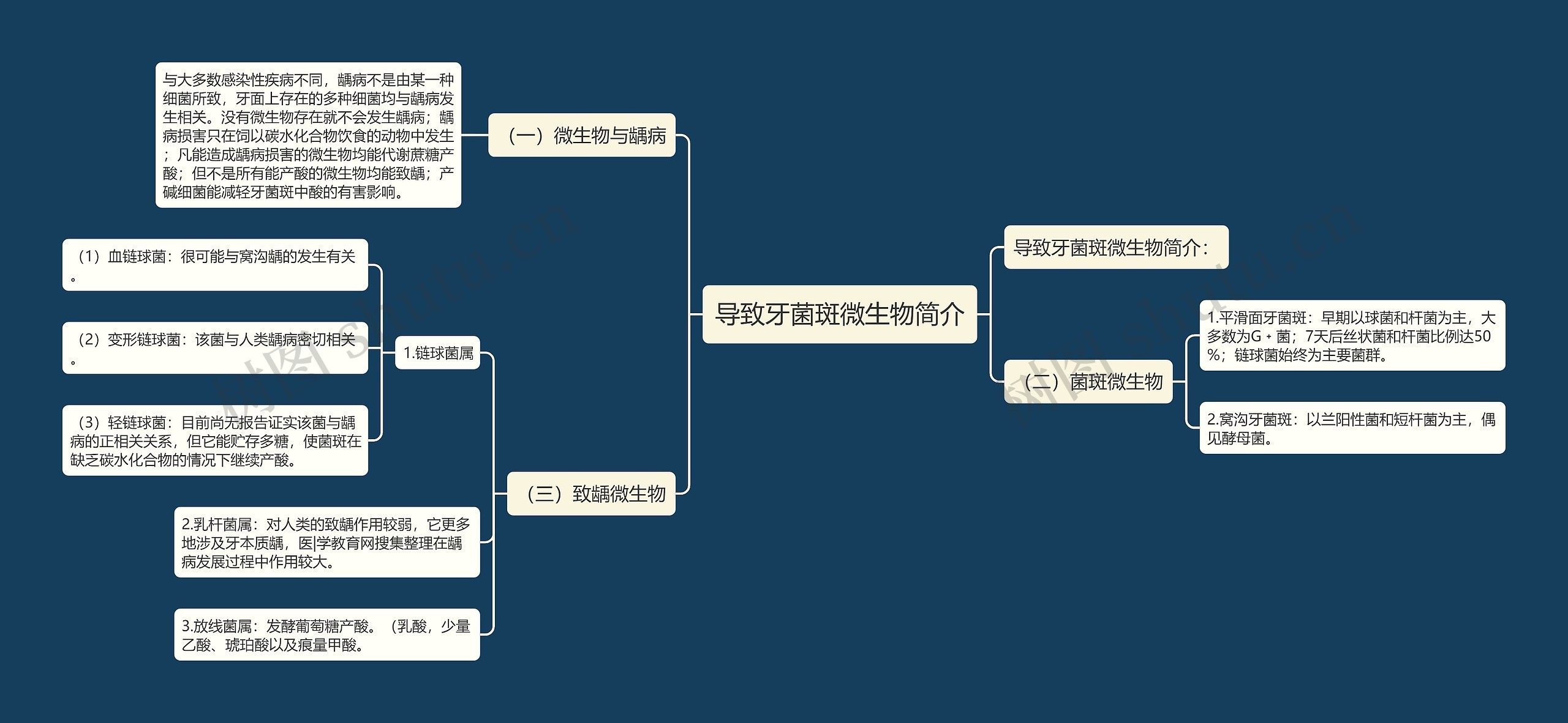 导致牙菌斑微生物简介思维导图