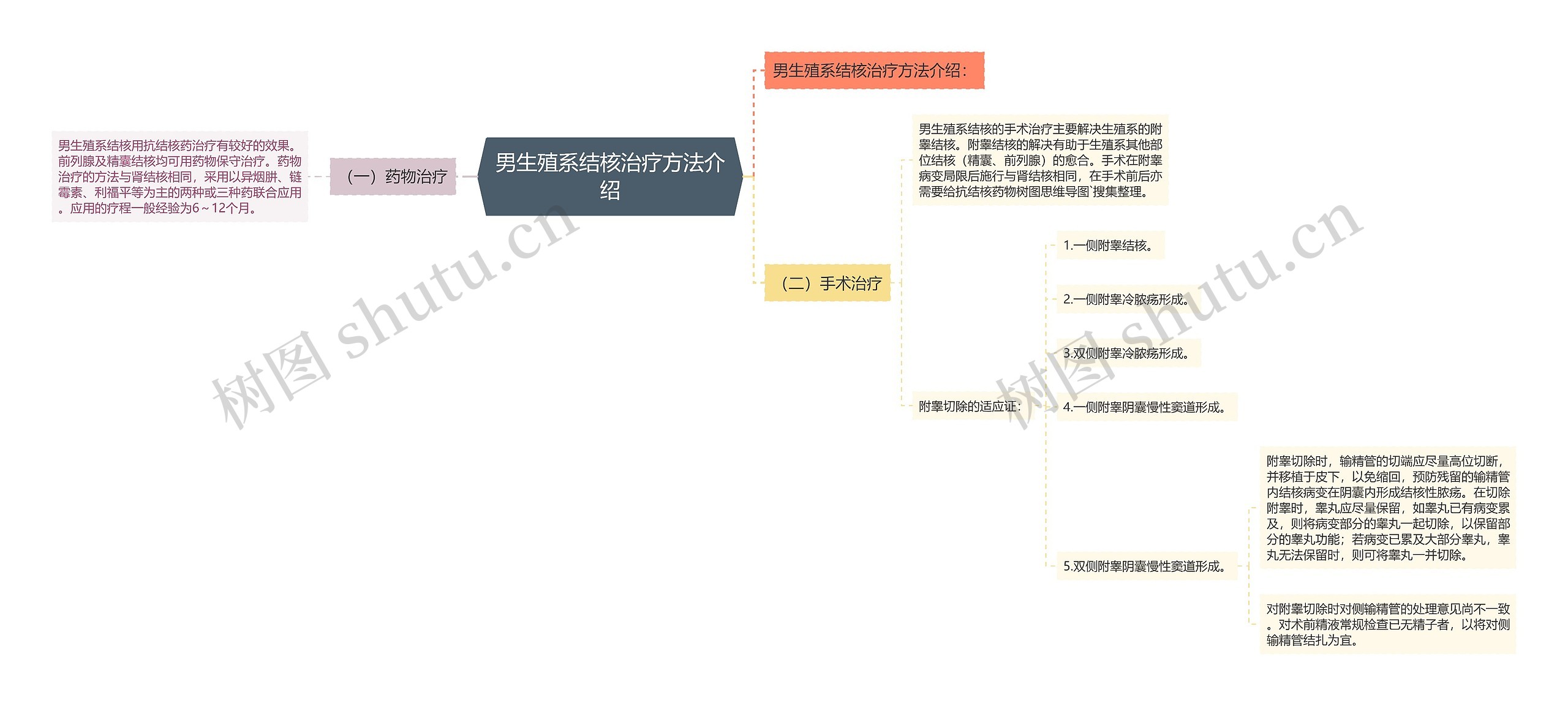 男生殖系结核治疗方法介绍