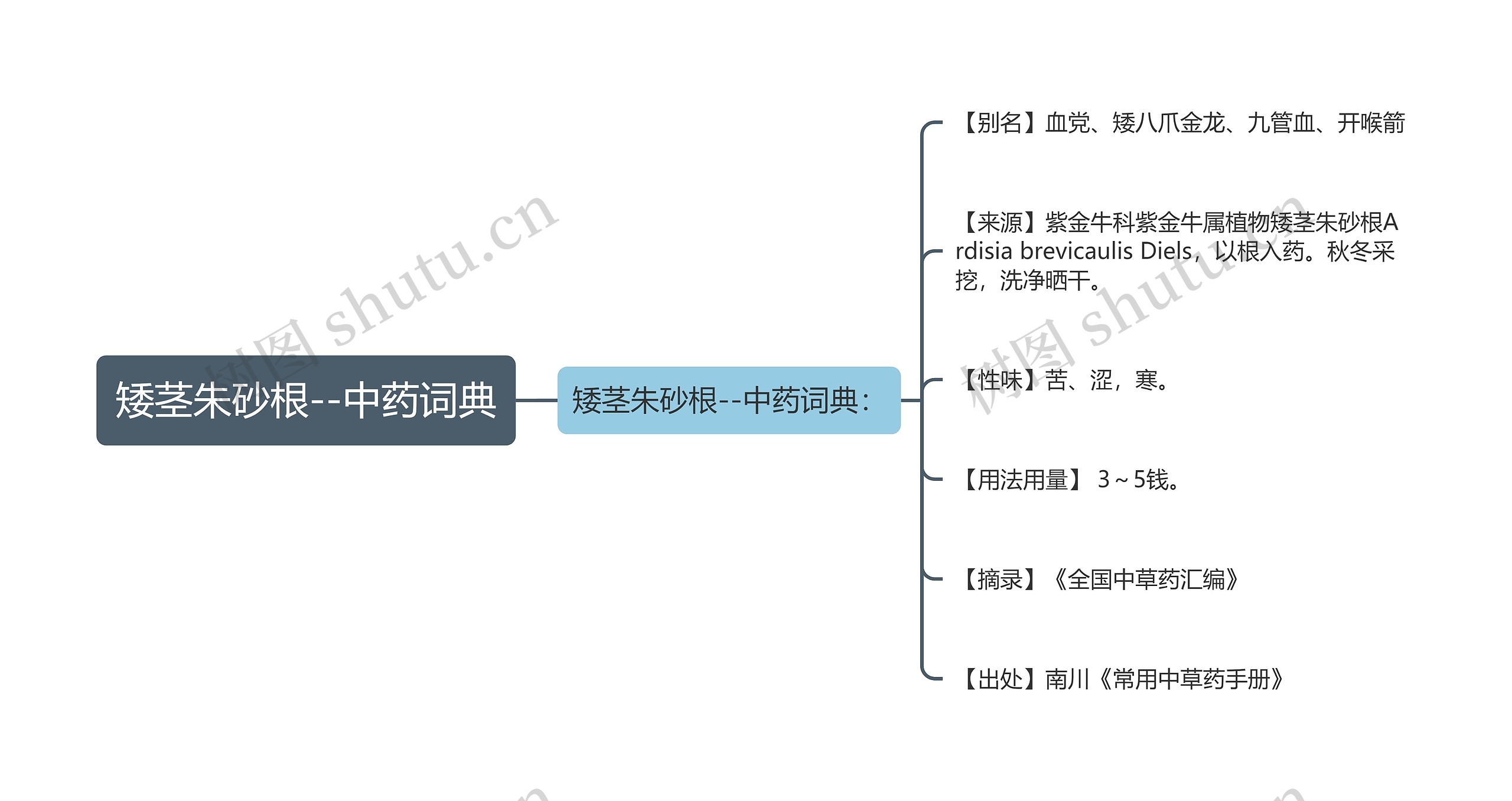 矮茎朱砂根--中药词典 矮茎朱砂根--中药词典