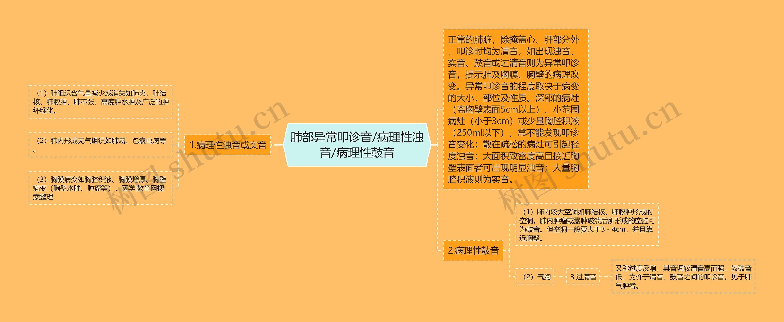 肺部异常叩诊音/病理性浊音/病理性鼓音