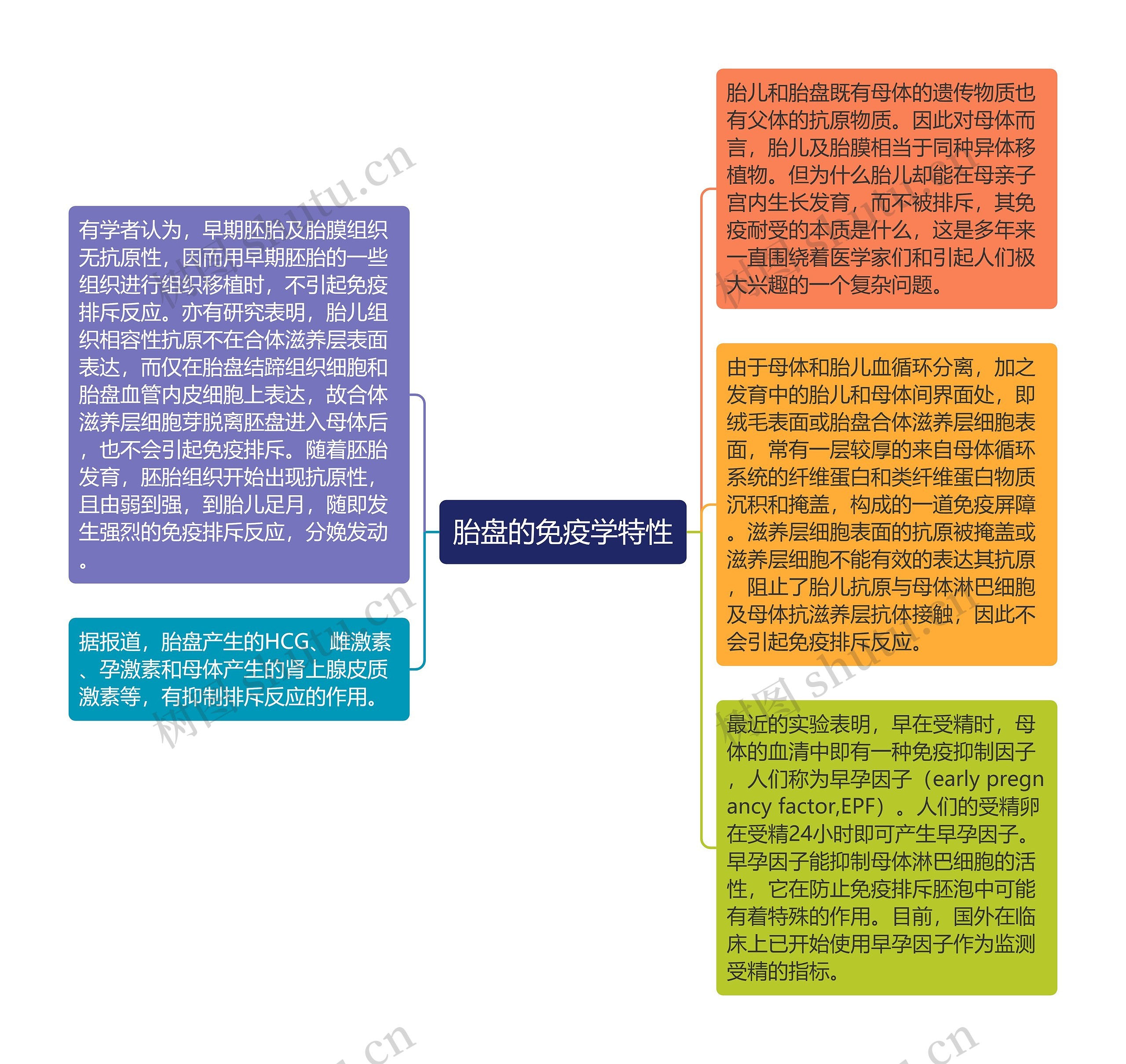 胎盘的免疫学特性
