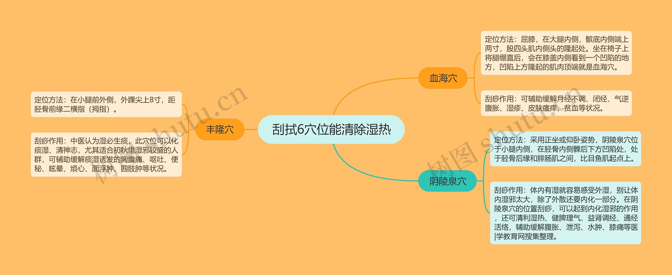 刮拭6穴位能清除湿热思维导图