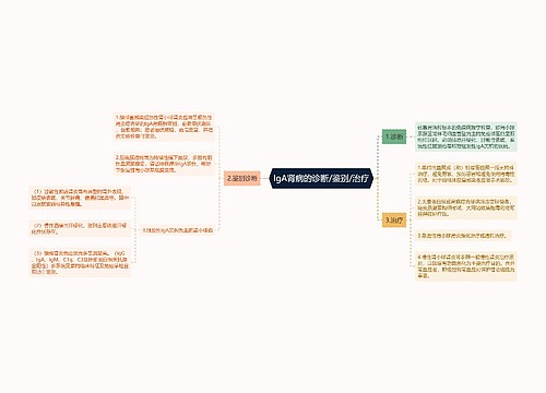 IgA肾病的诊断/鉴别/治疗