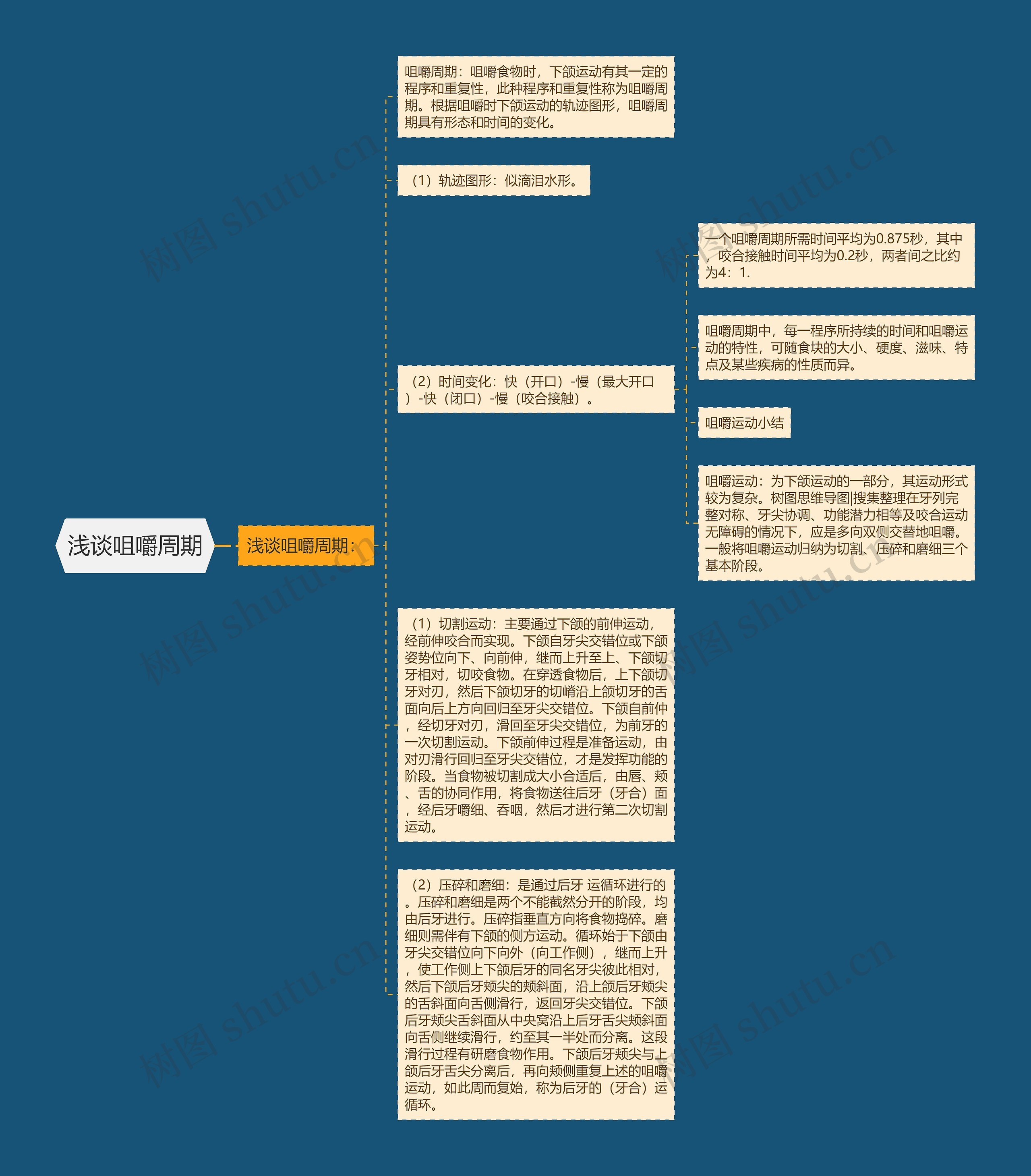 浅谈咀嚼周期思维导图
