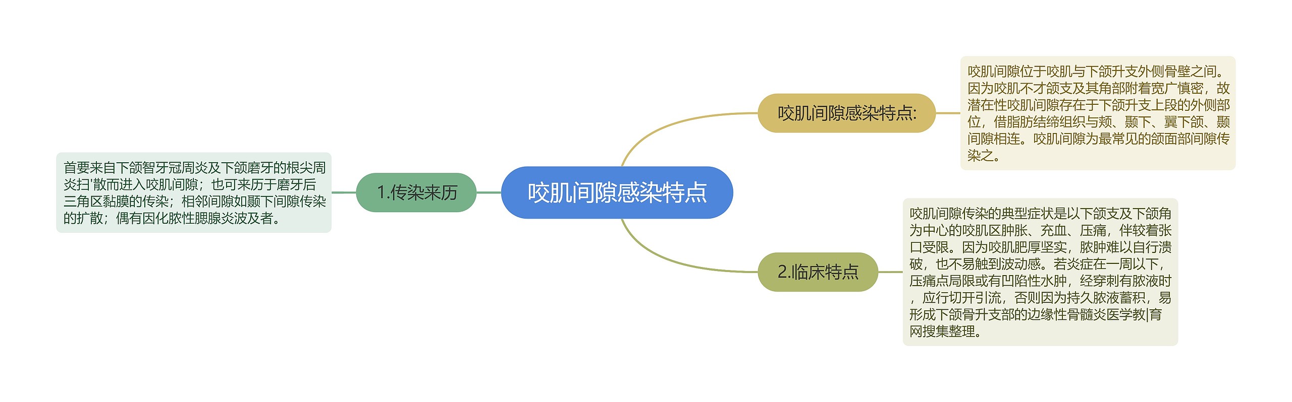 咬肌间隙感染特点思维导图