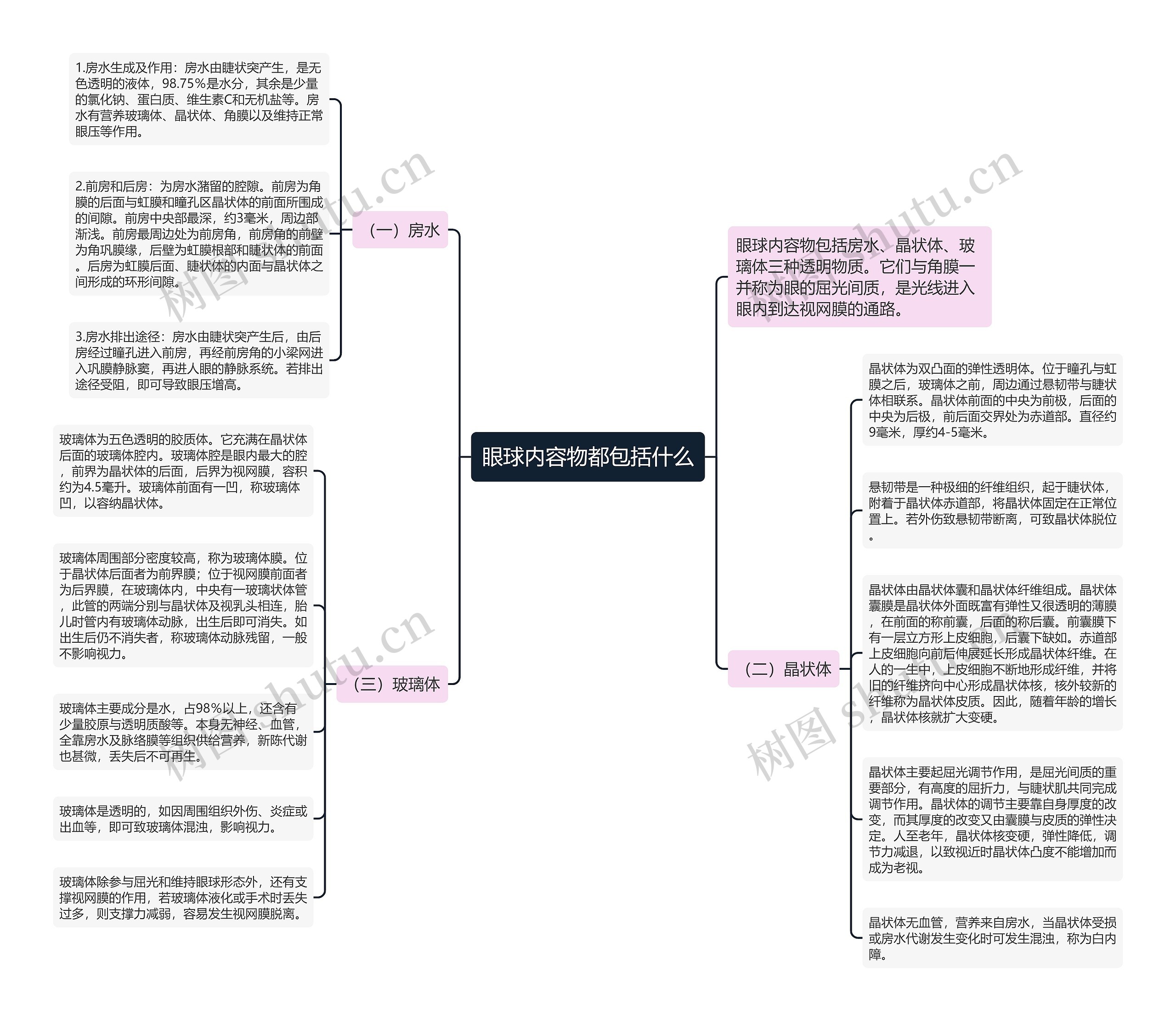 眼球内容物都包括什么思维导图