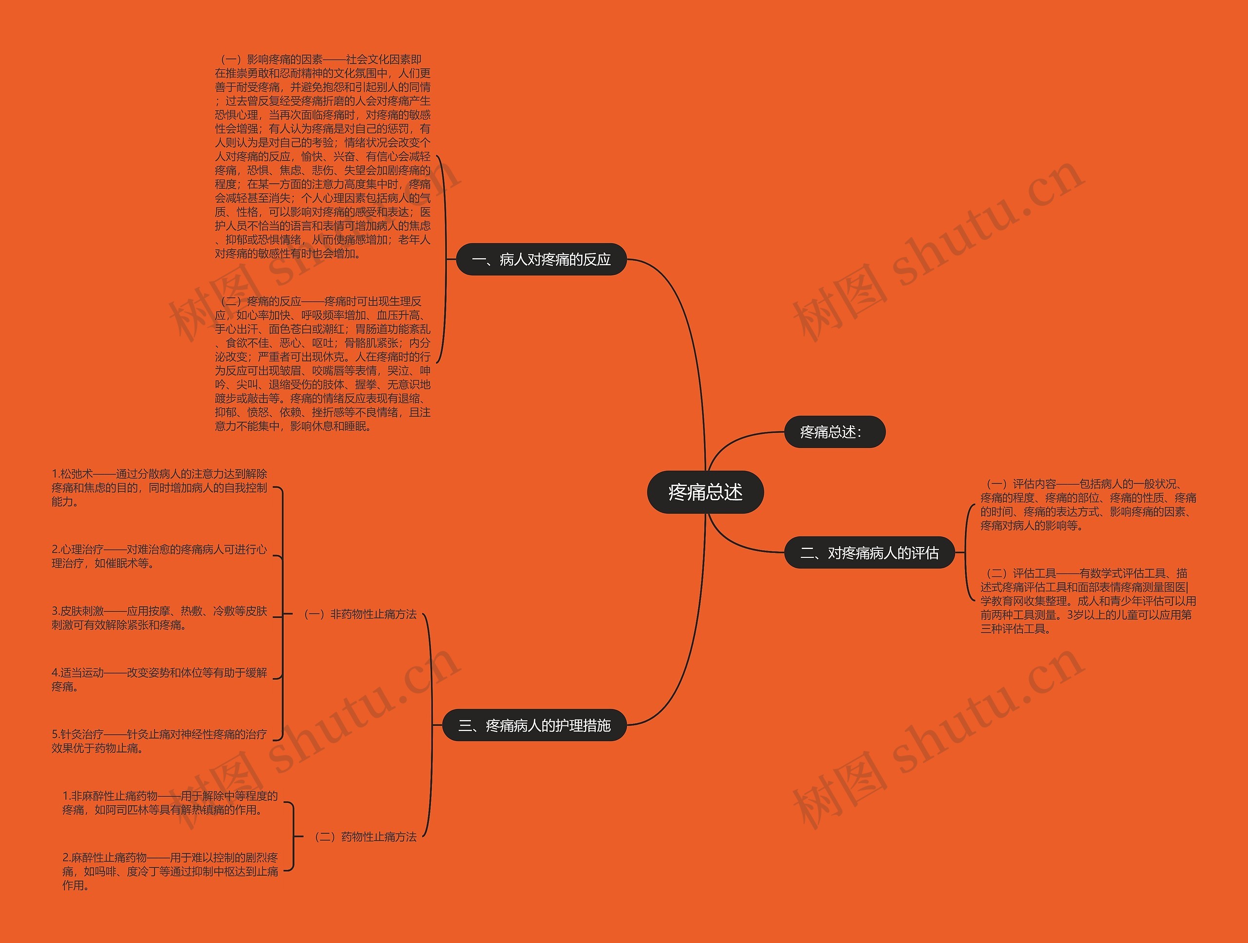 疼痛总述 疼痛总述