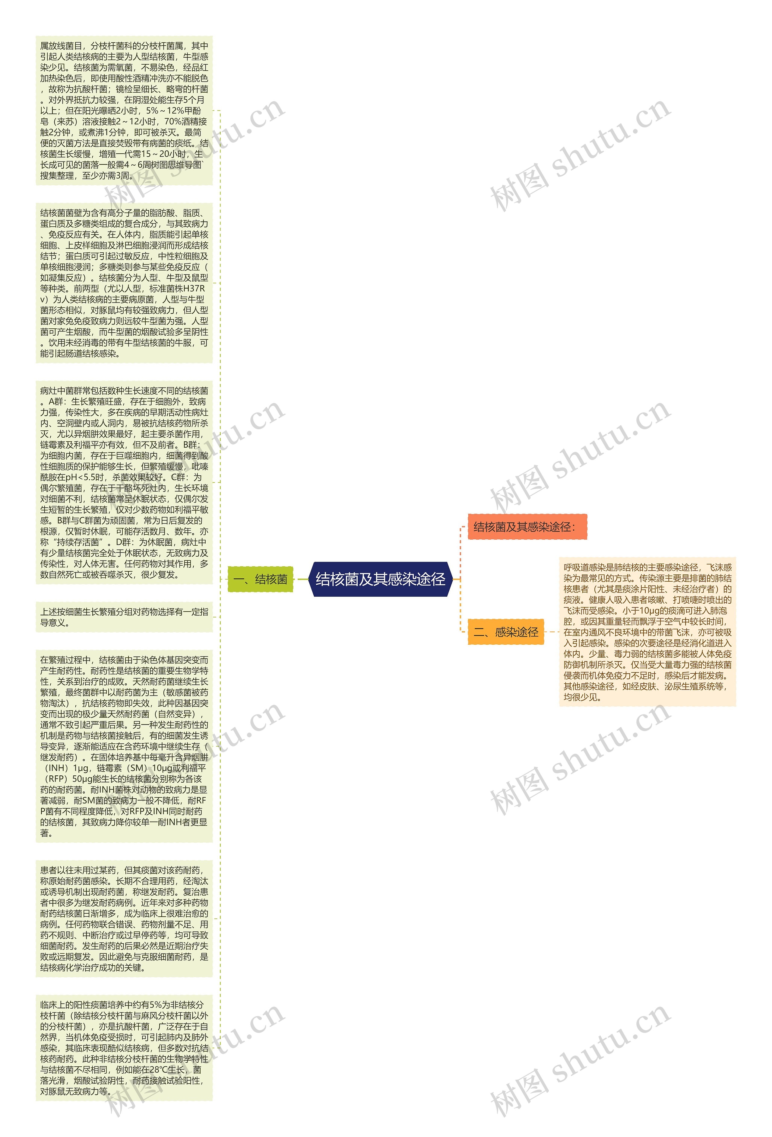 结核菌及其感染途径思维导图