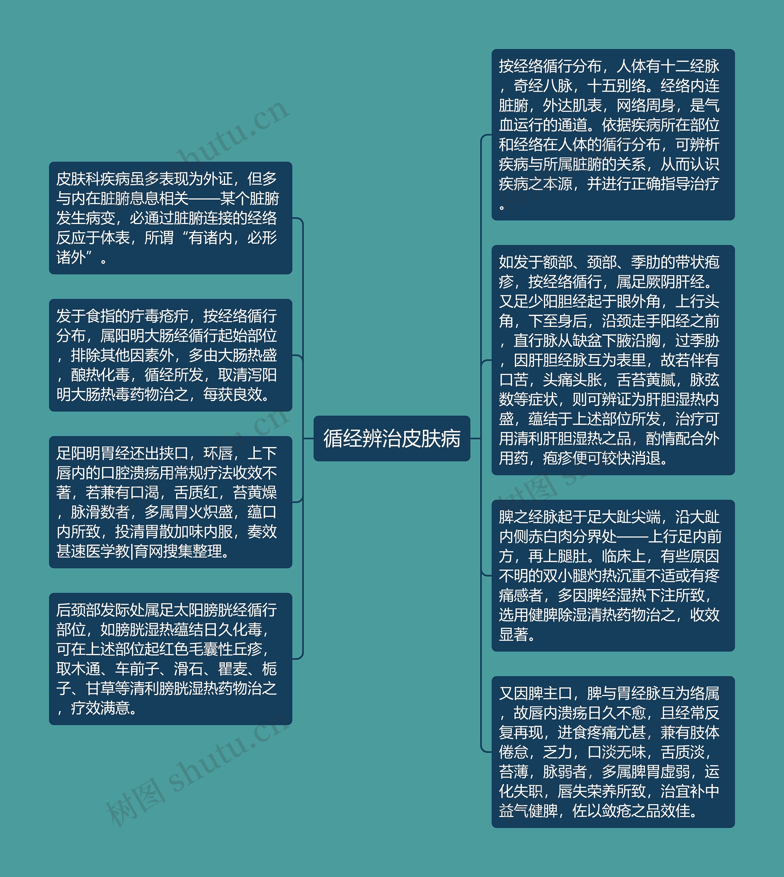 循经辨治皮肤病