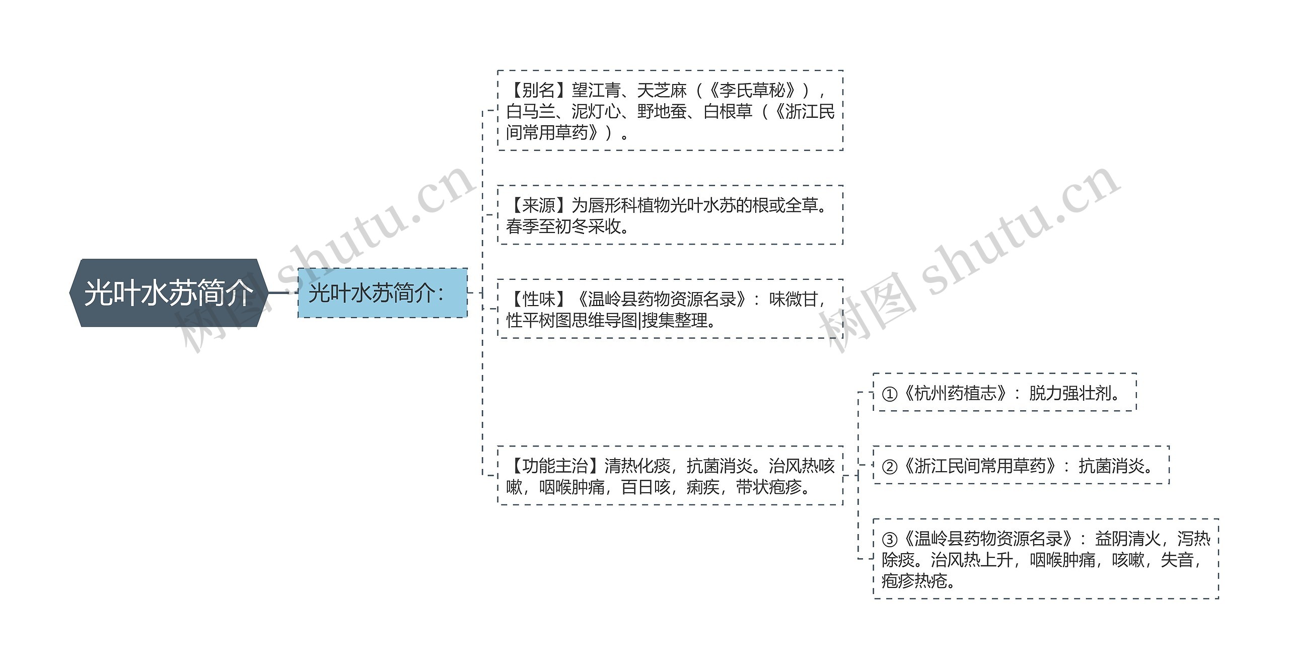 光叶水苏简介思维导图