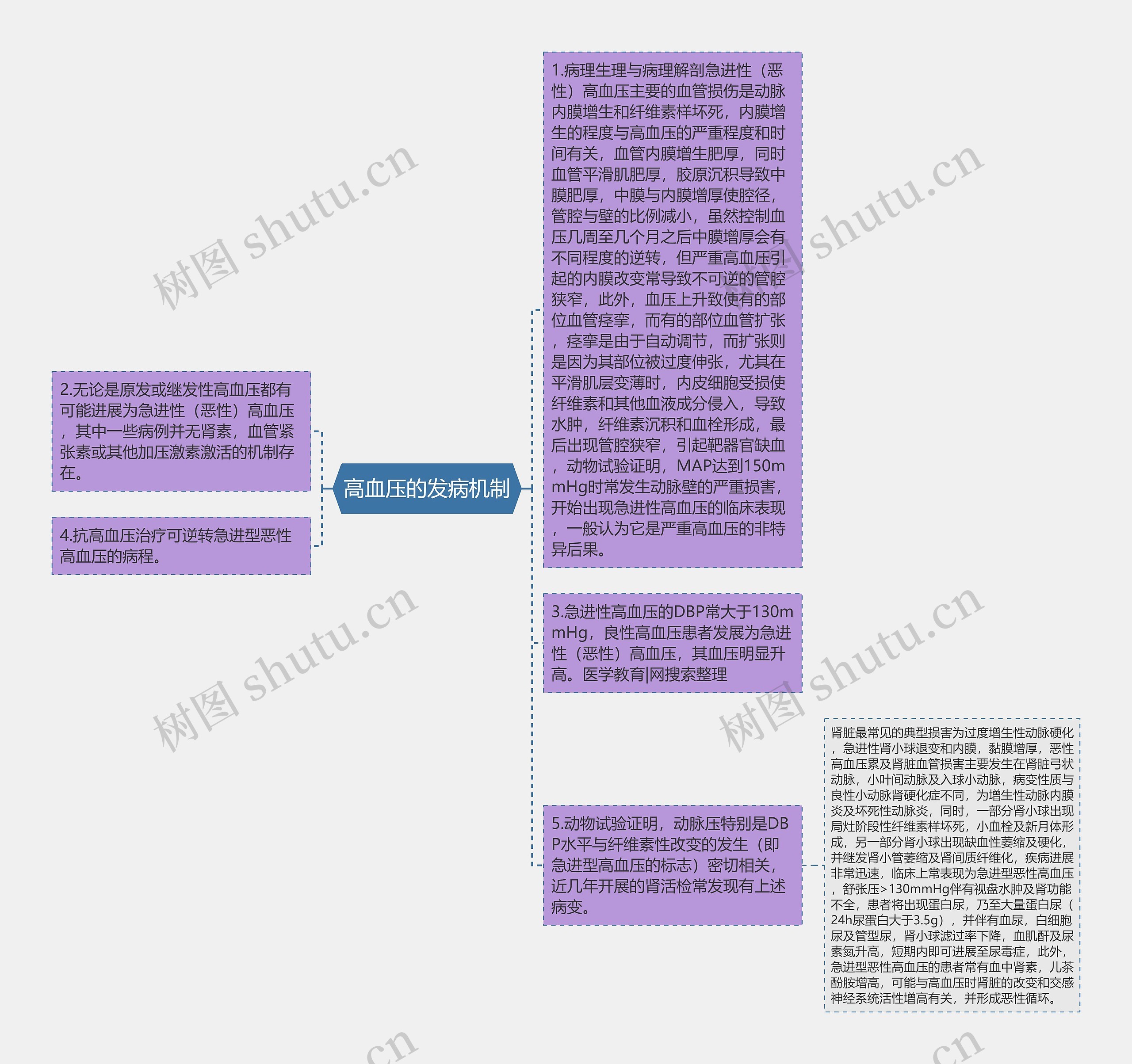 高血压的发病机制思维导图