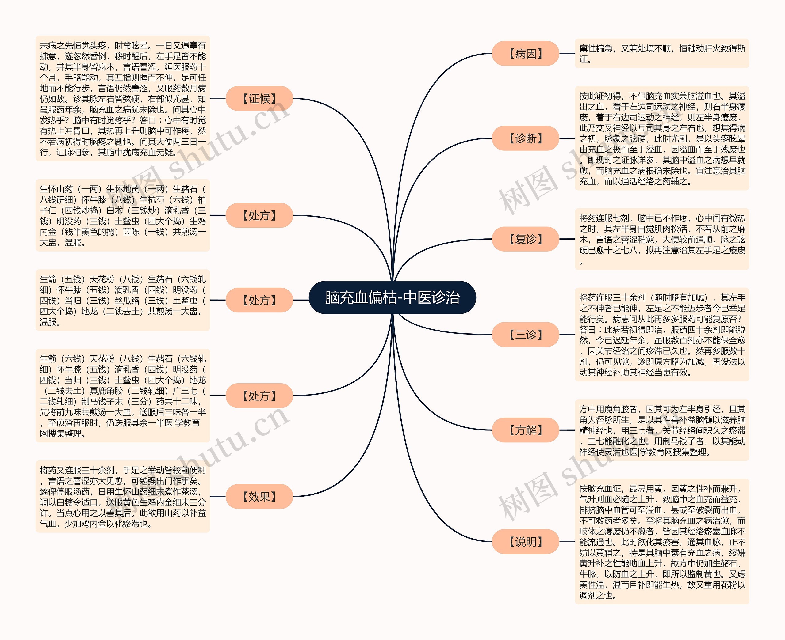 脑充血偏枯-中医诊治思维导图