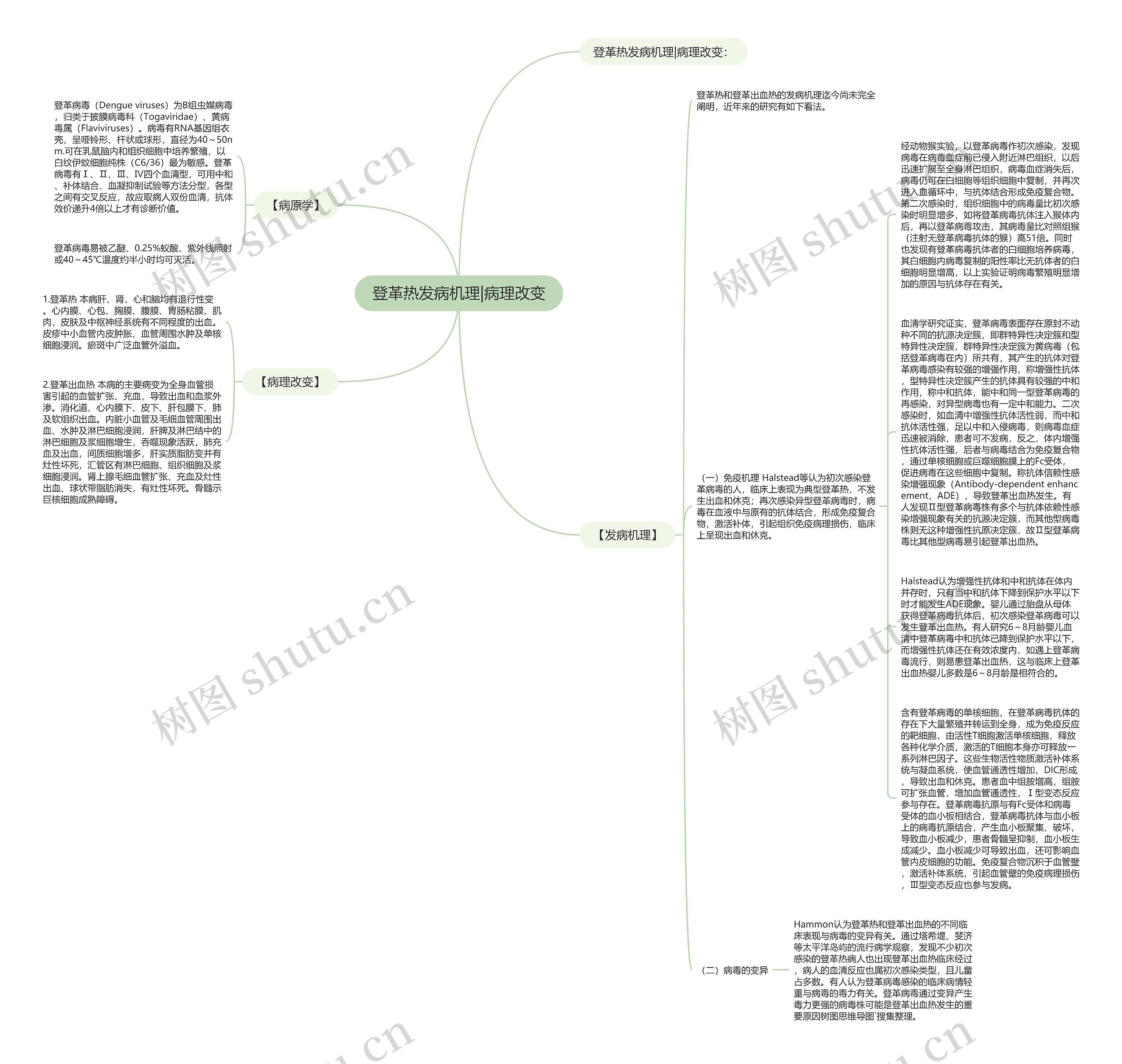登革热发病机理|病理改变思维导图