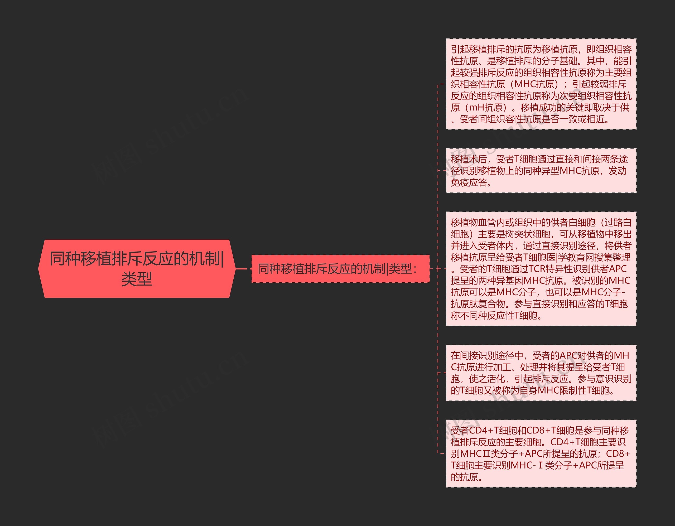 同种移植排斥反应的机制|类型思维导图