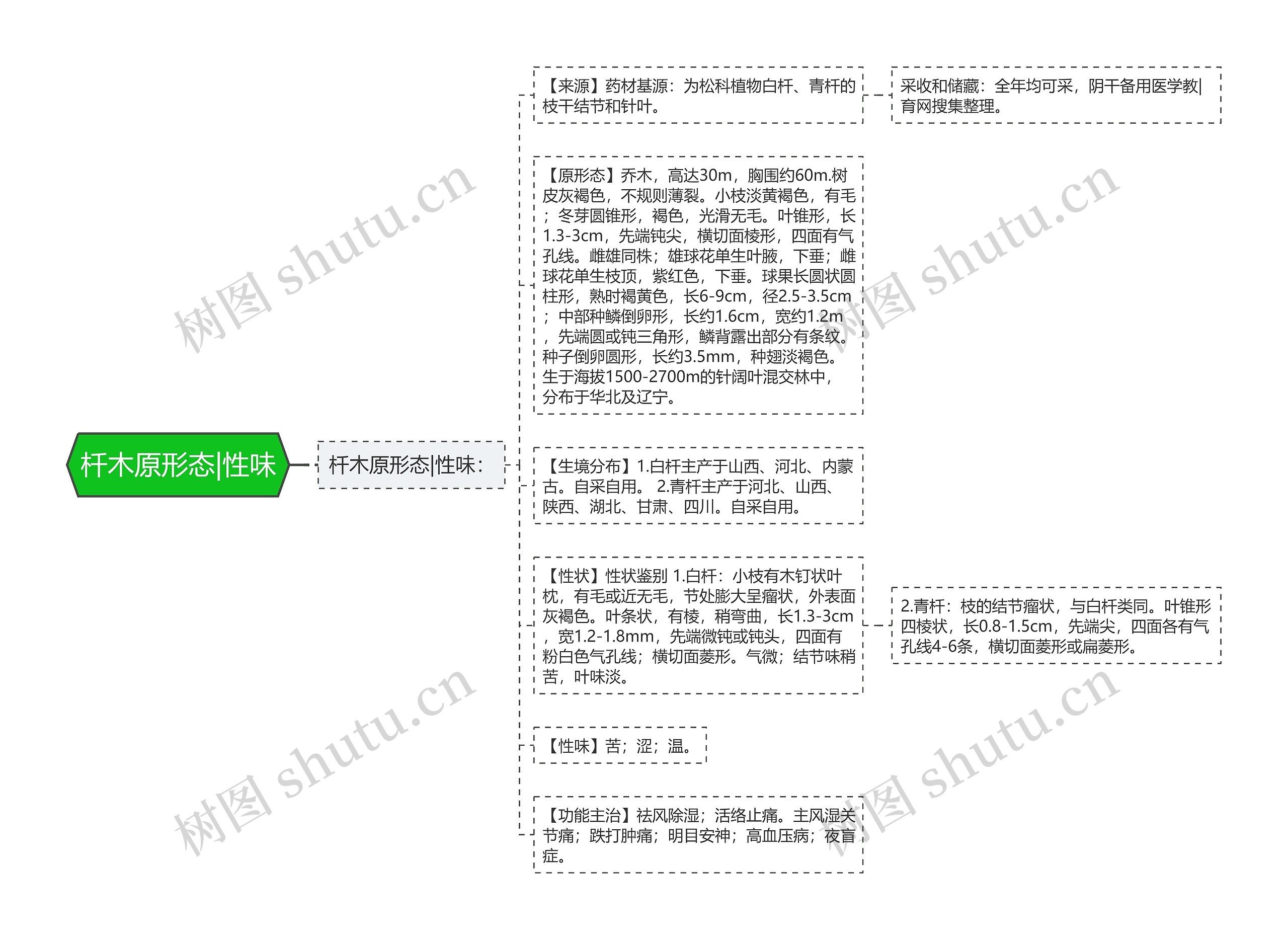 杄木原形态|性味思维导图