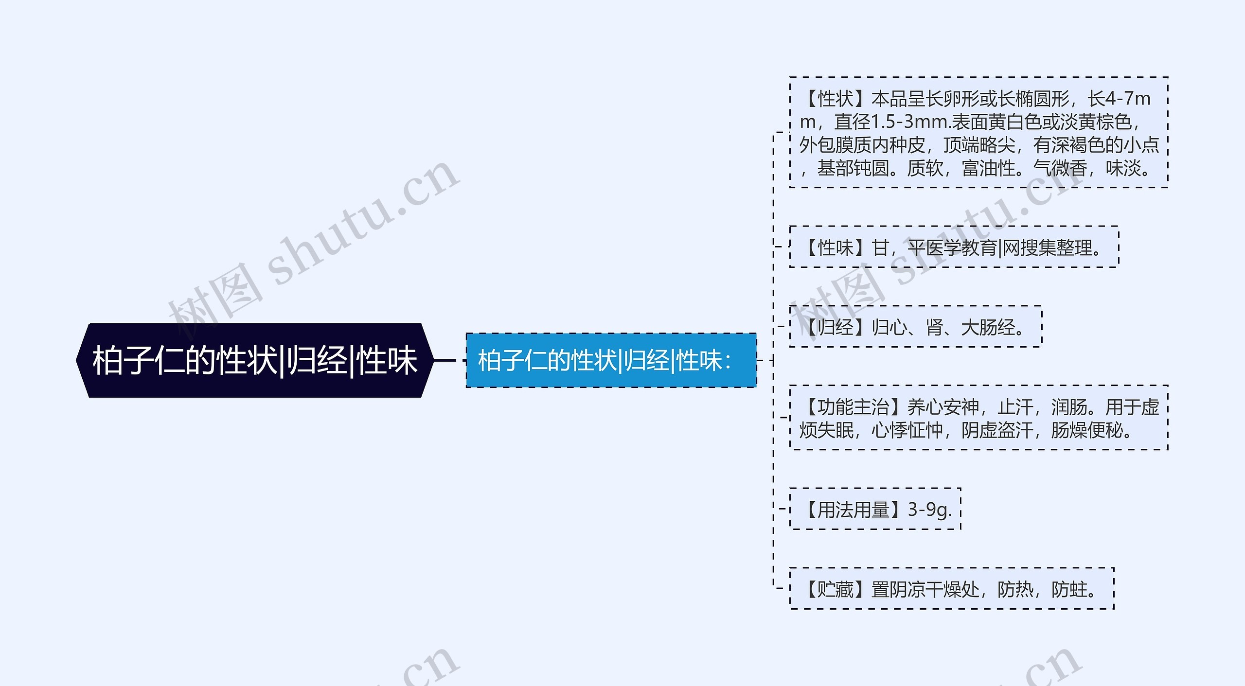 柏子仁的性状|归经|性味