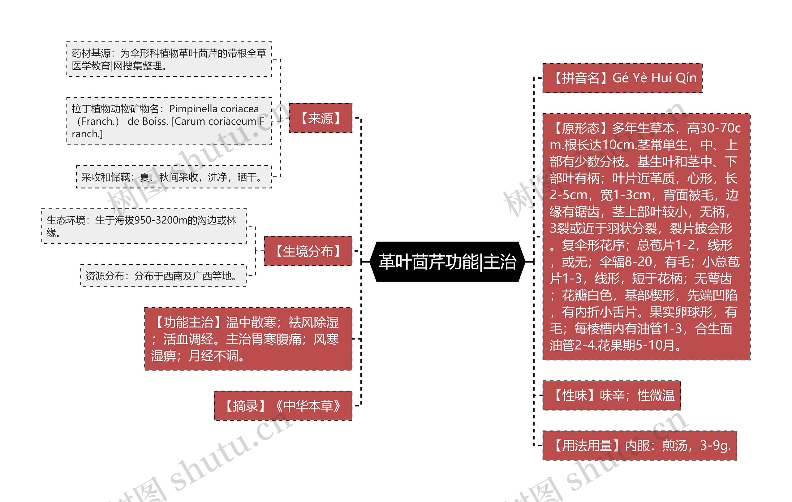 革叶茴芹功能|主治思维导图