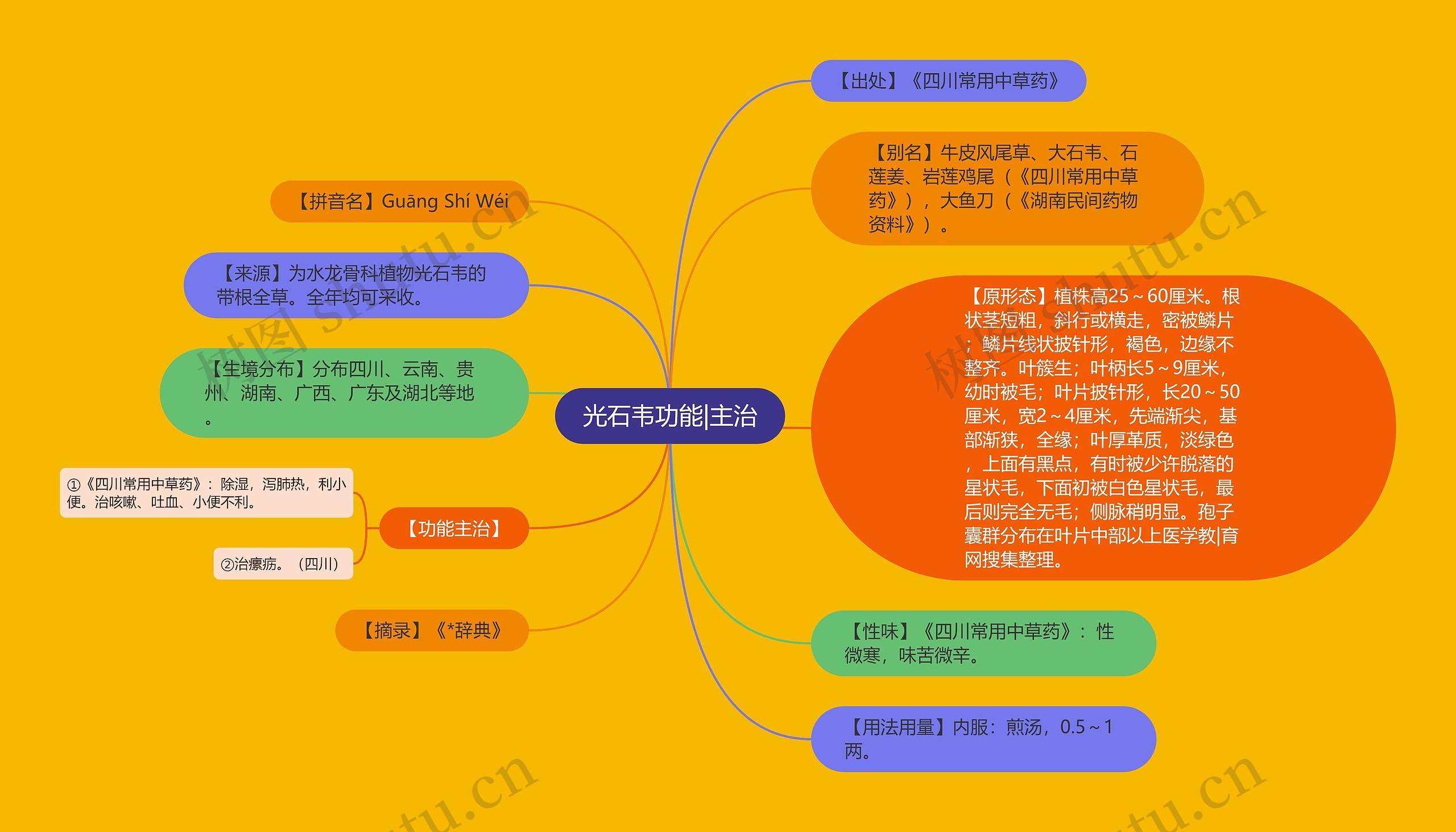 光石韦功能|主治思维导图