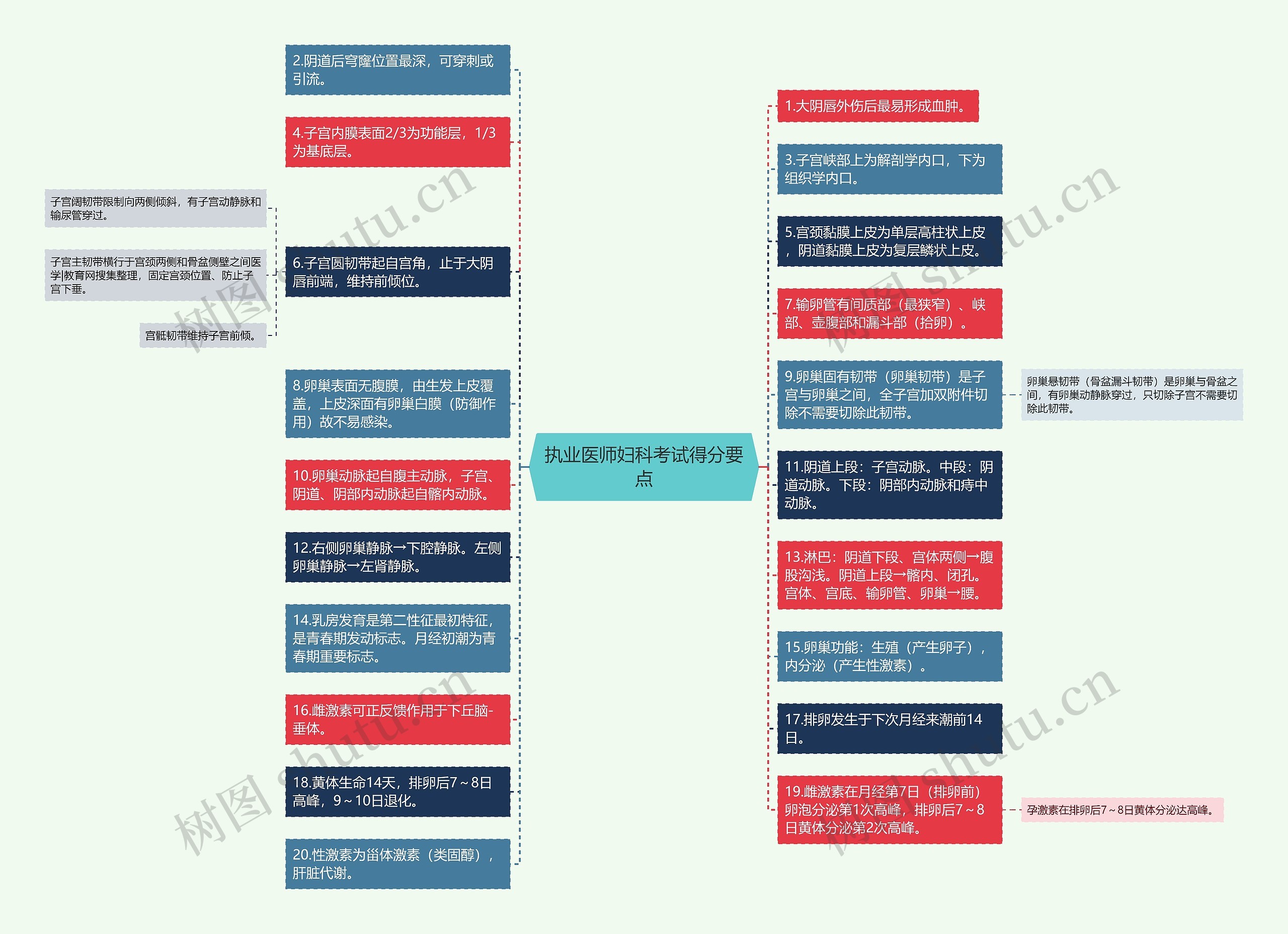 执业医师妇科考试得分要点思维导图